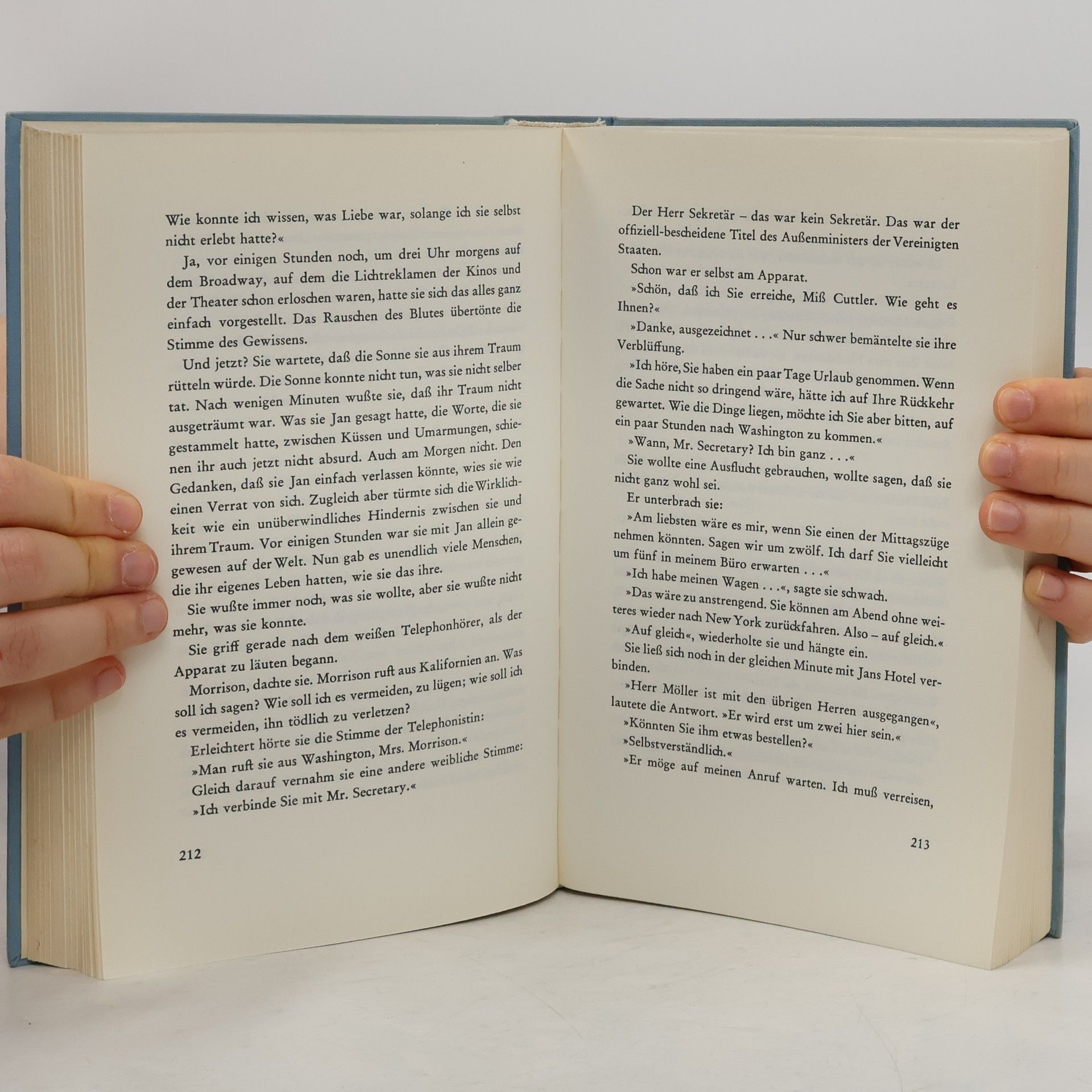 Hans-Wolfgang Wetzel Die Botschafterin