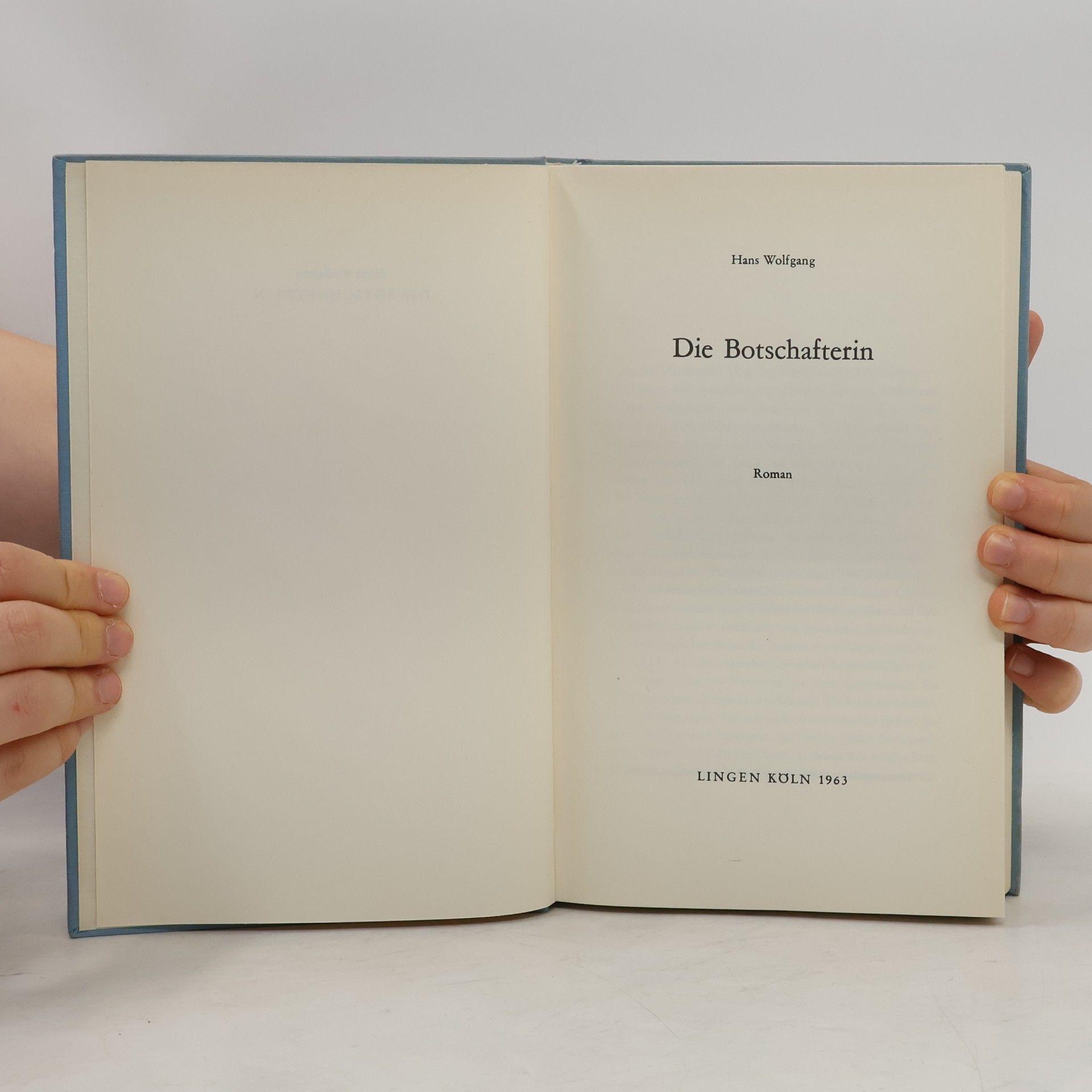 Hans-Wolfgang Wetzel Die Botschafterin
