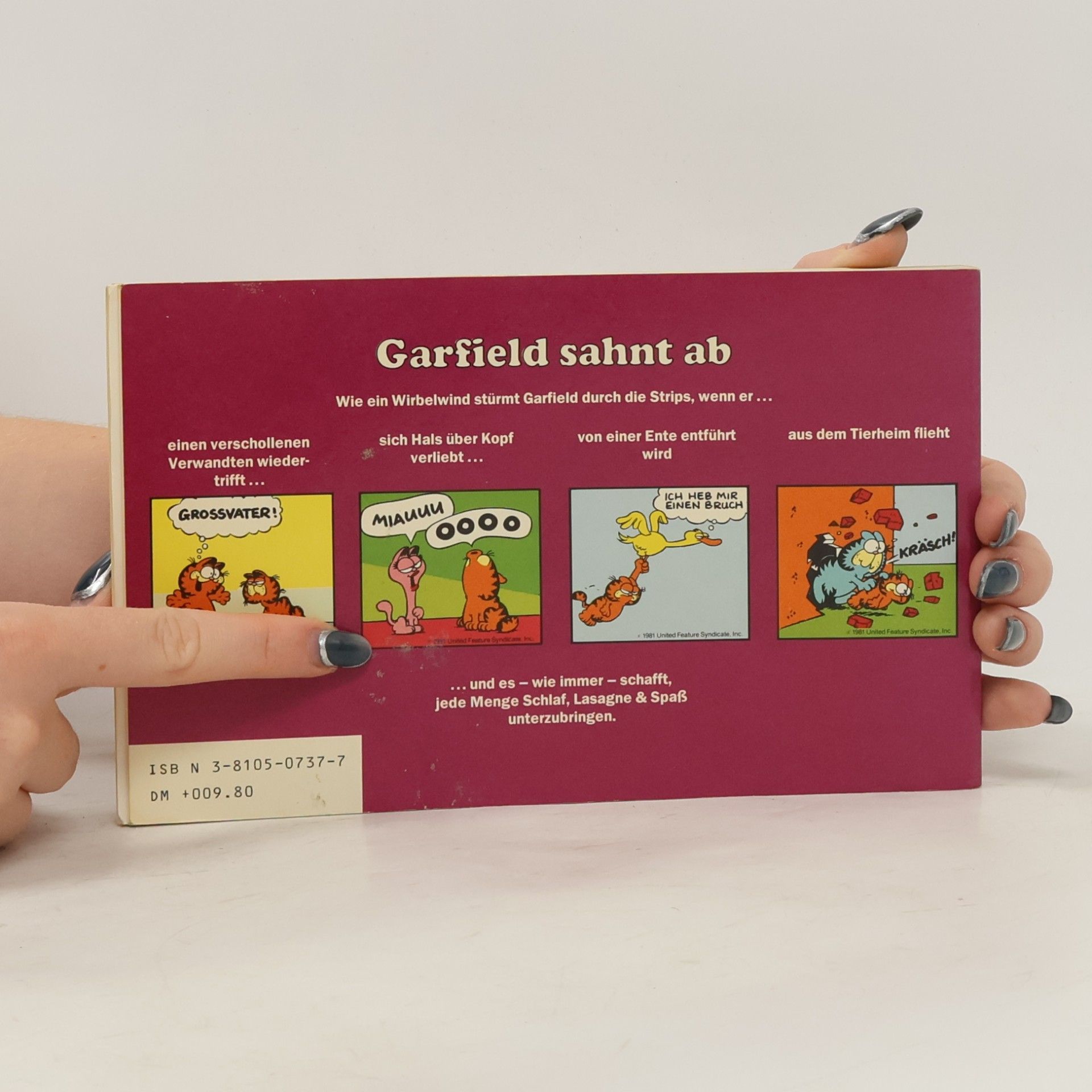 Jim Davis Garfield sahnt ab