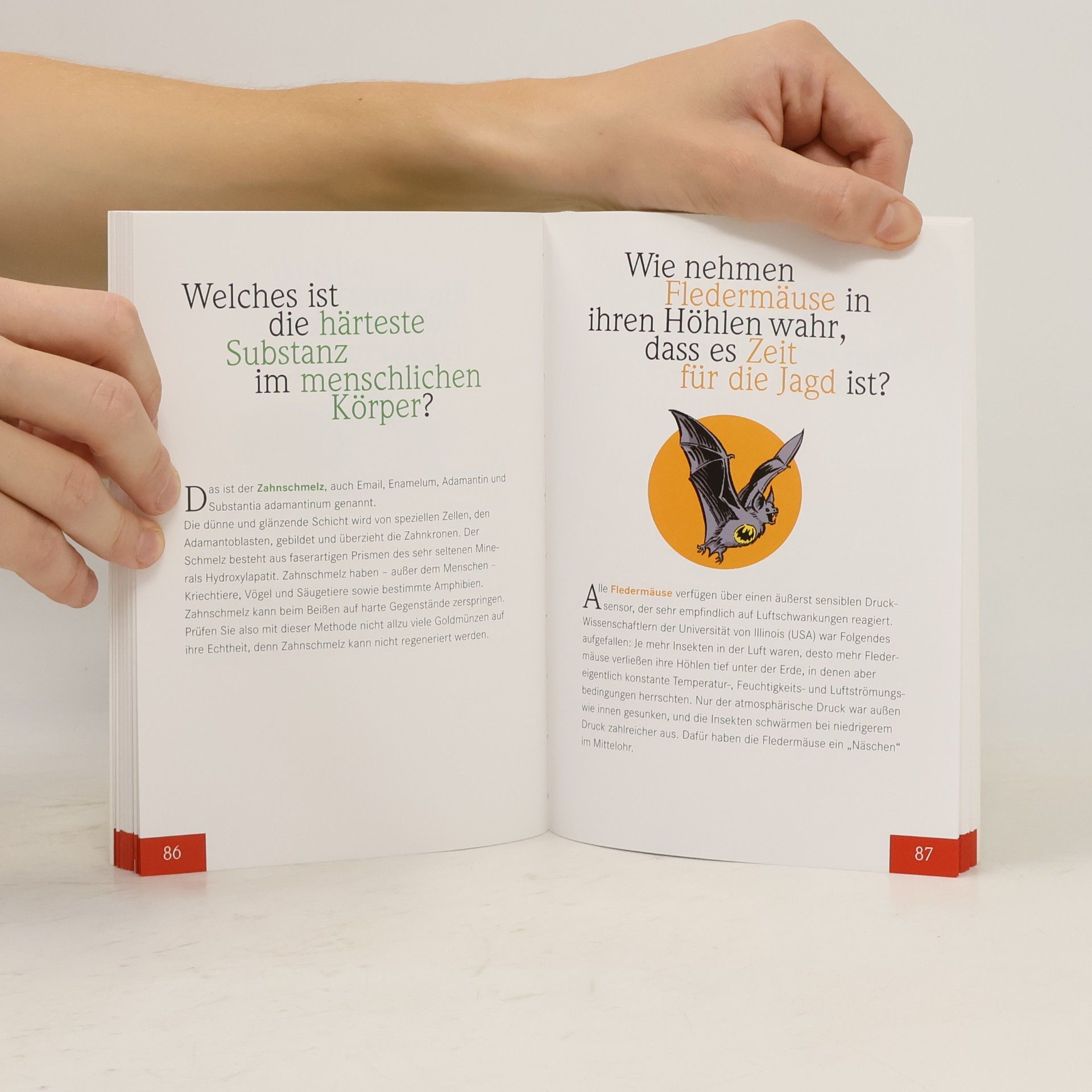 Autorenkollektiv Was in keinem Lexikon steht