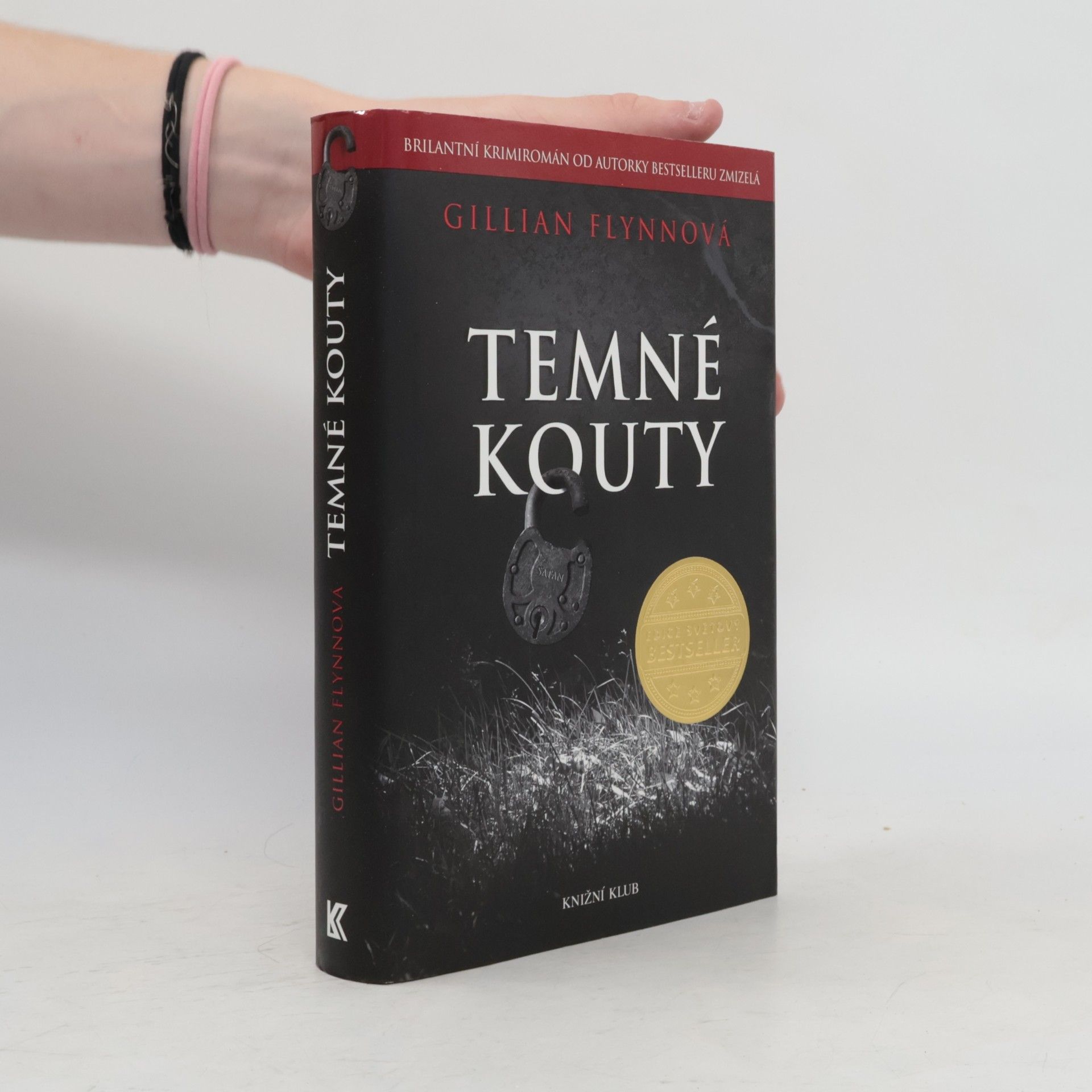 Gillian Flynn Temné kouty