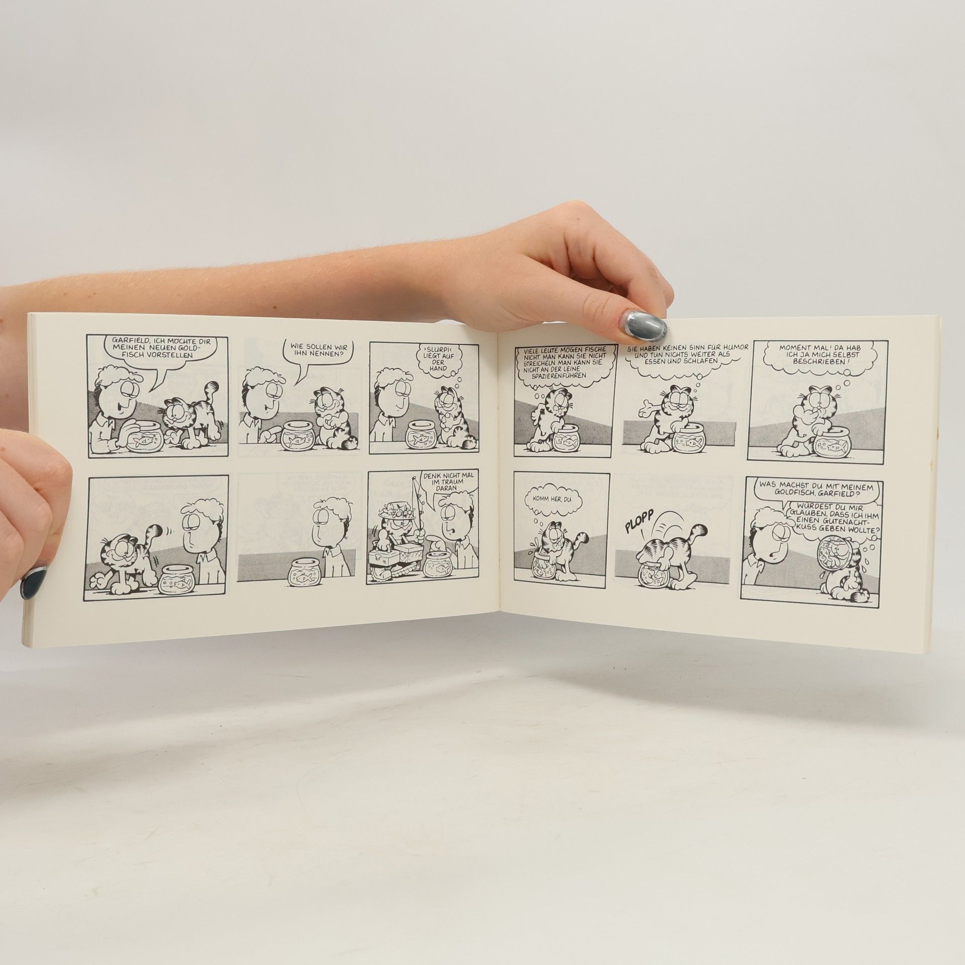 Jim Davis Garfield 12