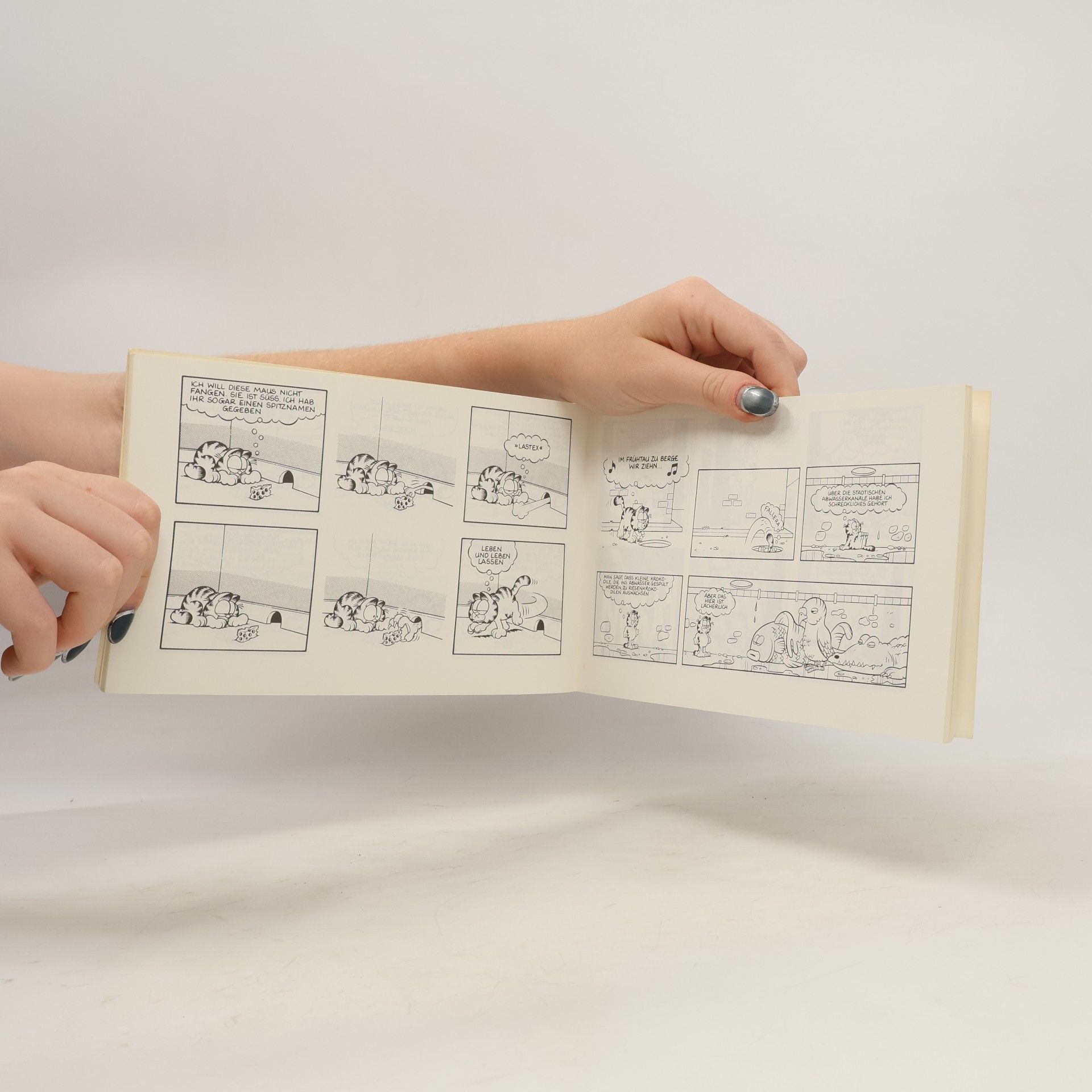 Jim Davis Garfield sticht zu