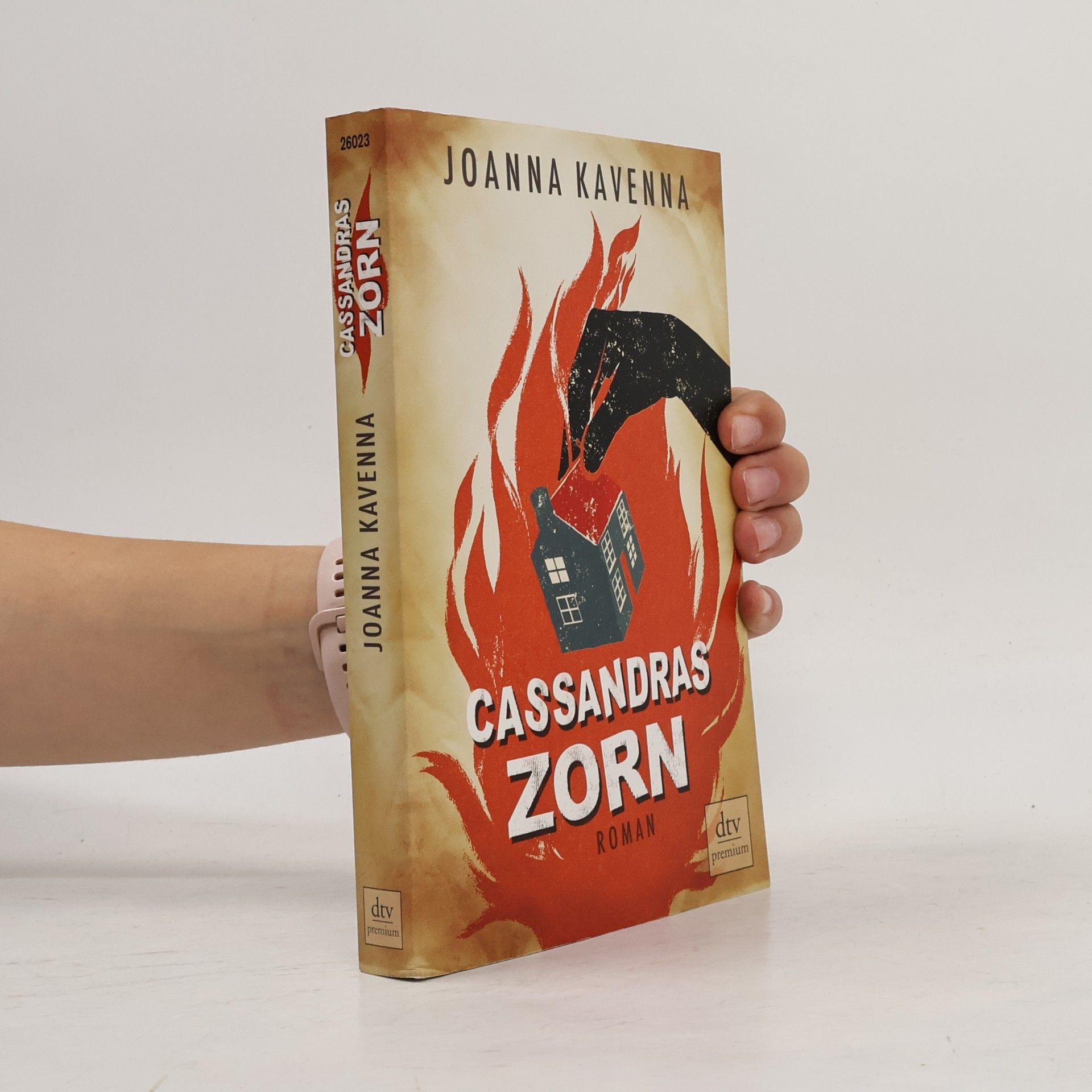 Joanna Kavenna Cassandras Zorn