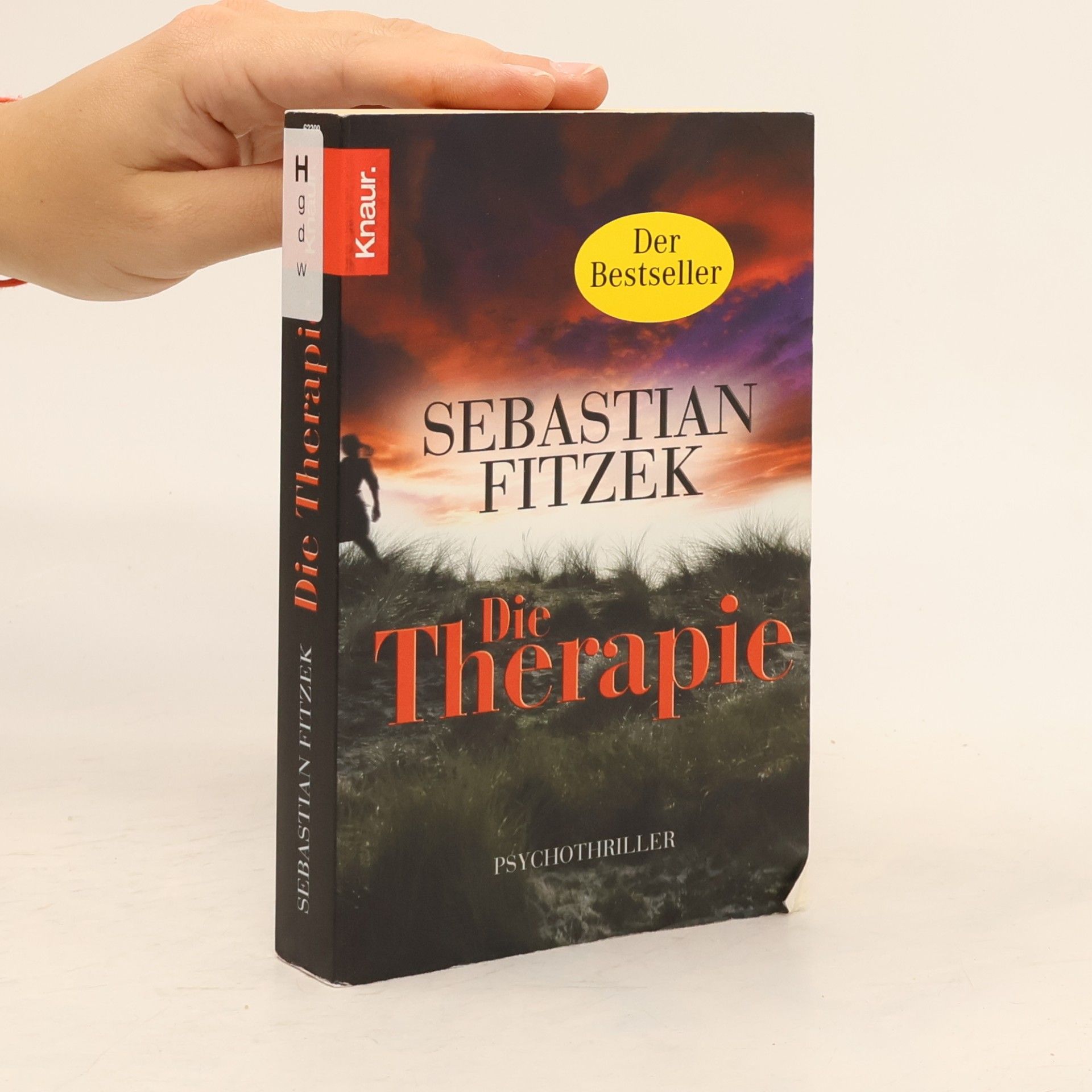 Sebastian Fitzek Die Therapie