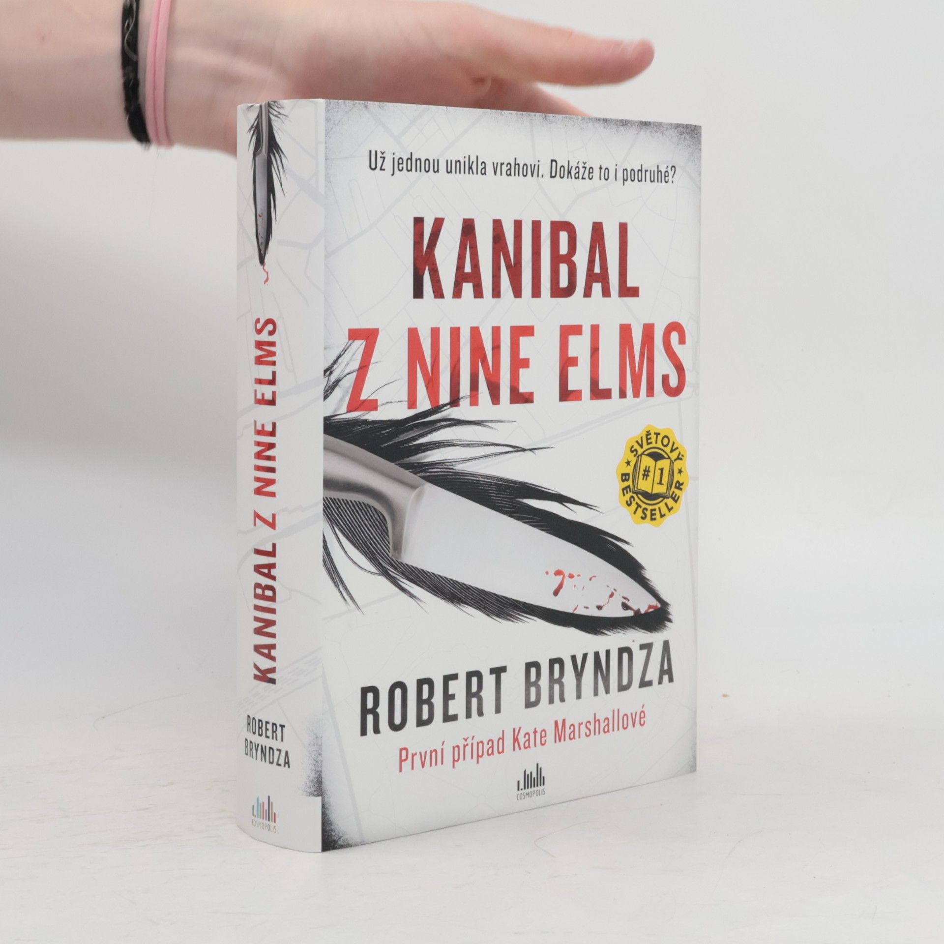Robert Bryndza Kanibal z Nine Elms