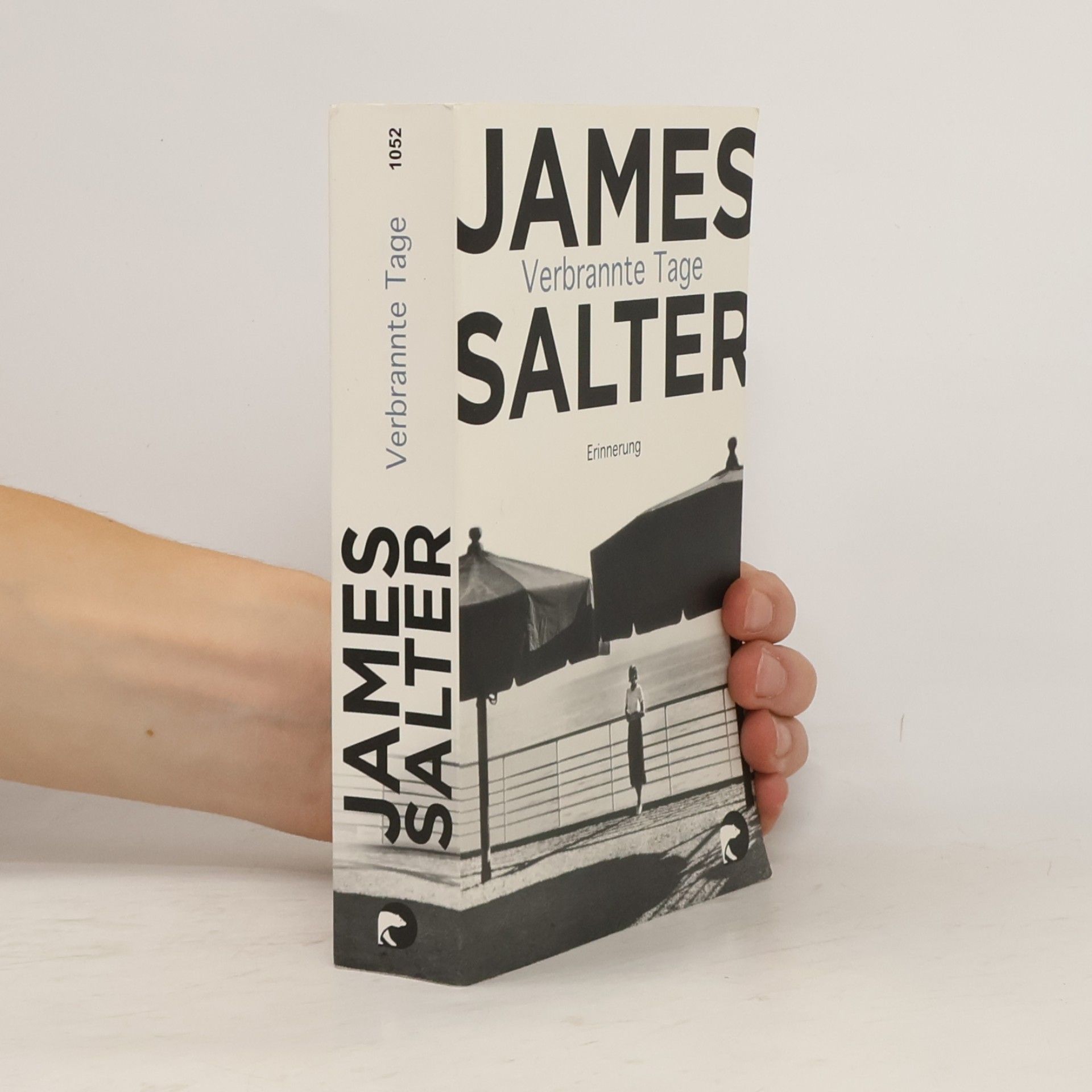 James Salter Verbrannte Tage