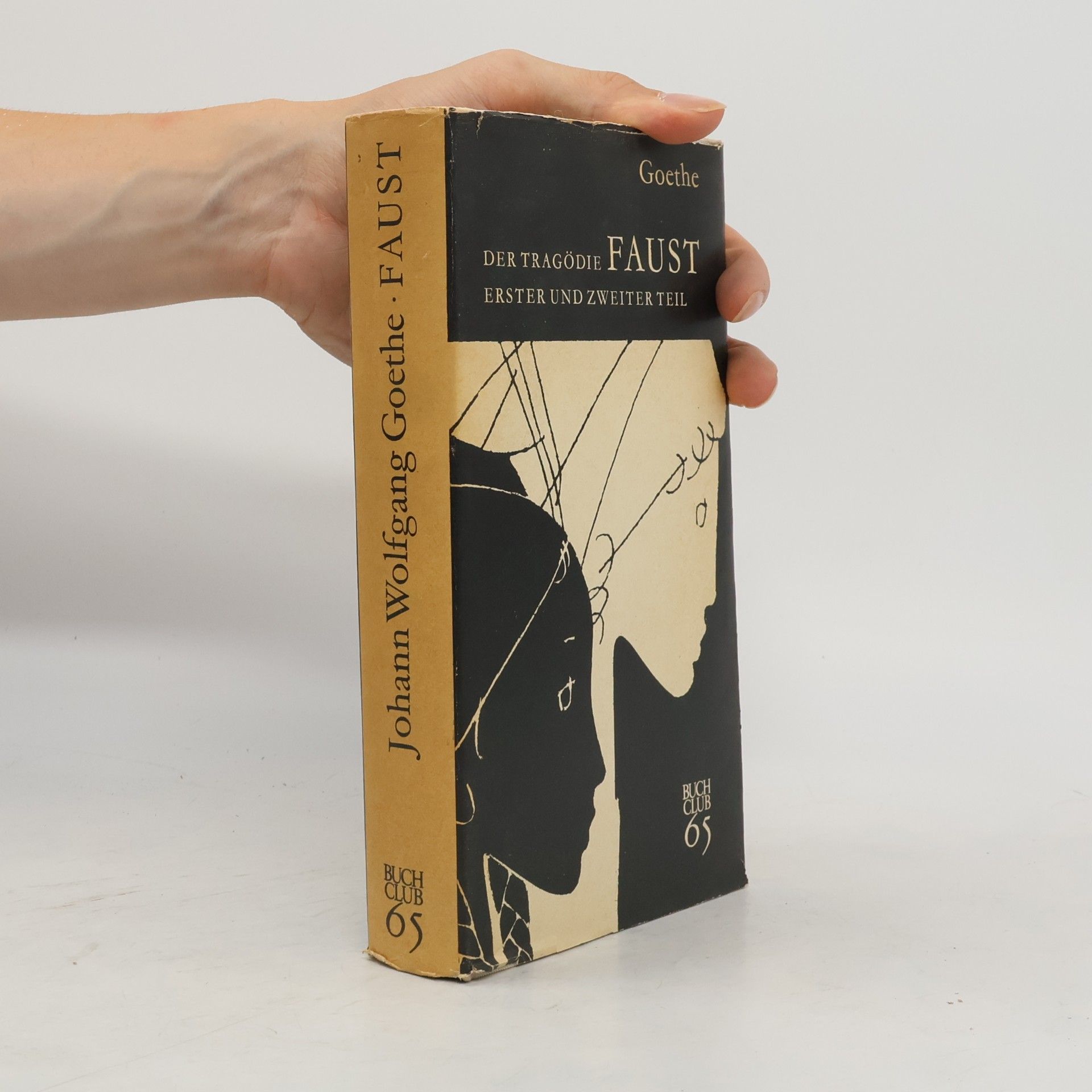 Johann Wolfgang von Goethe Faust 1-2