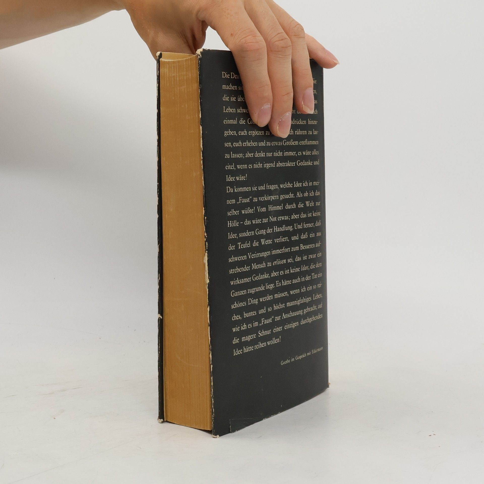 Johann Wolfgang von Goethe Faust 1-2