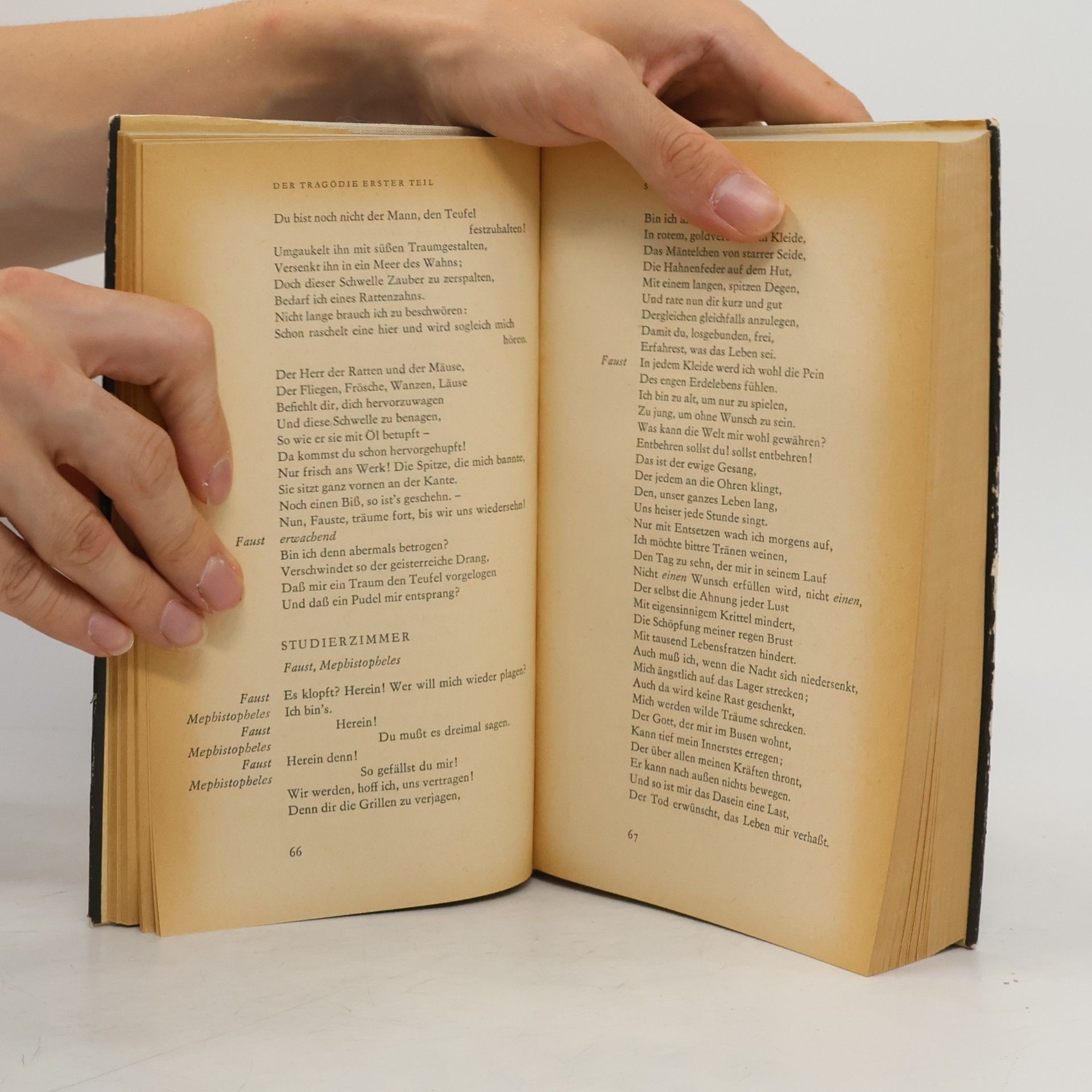 Johann Wolfgang von Goethe Faust 1-2