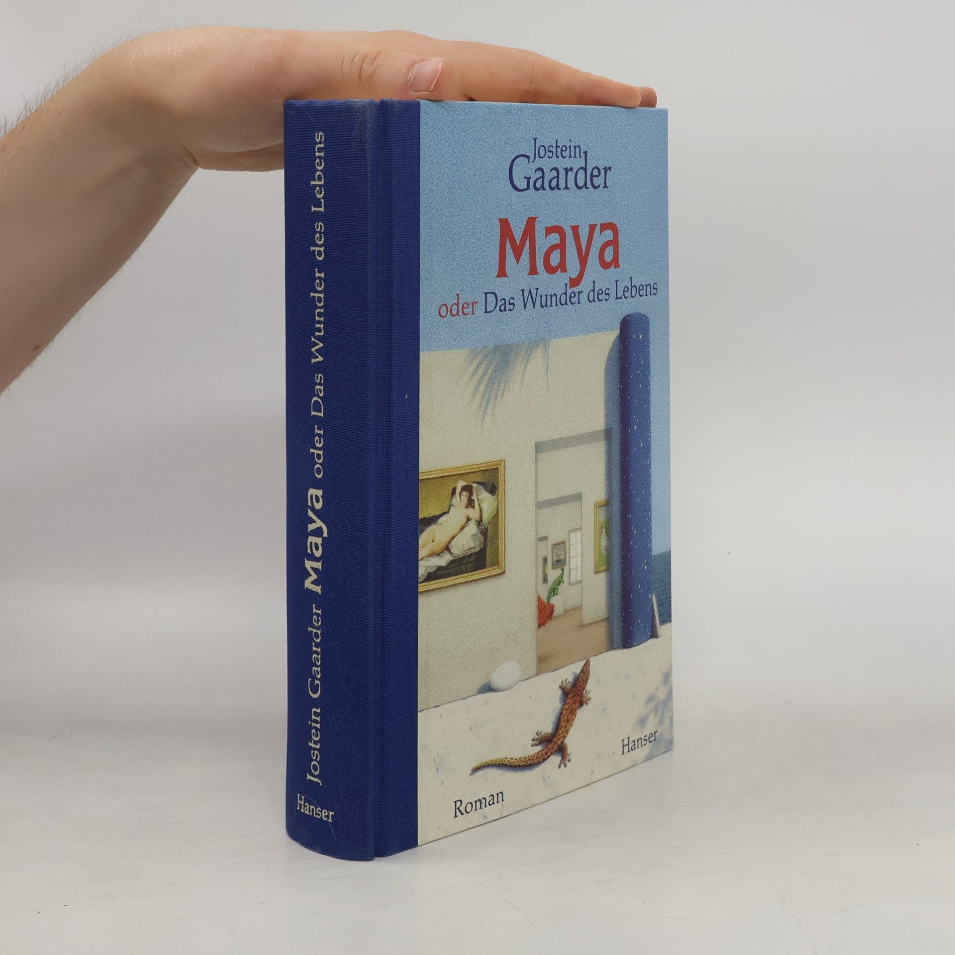 Jostein Gaarder Maya oder Das Wunder des Lebens