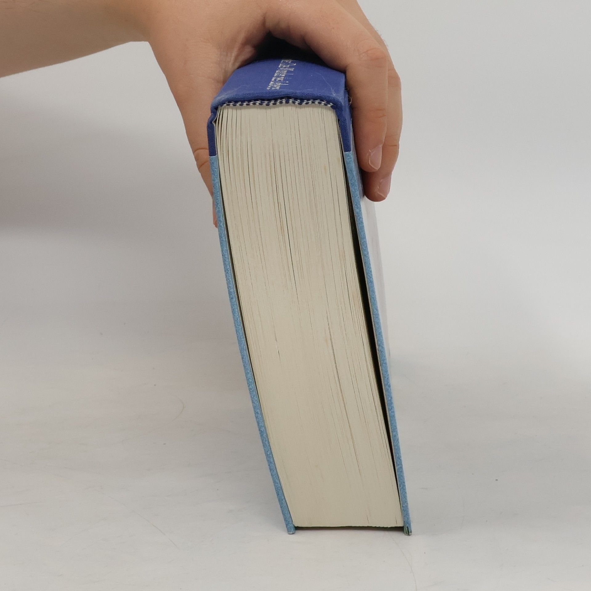 Jostein Gaarder Maya oder Das Wunder des Lebens