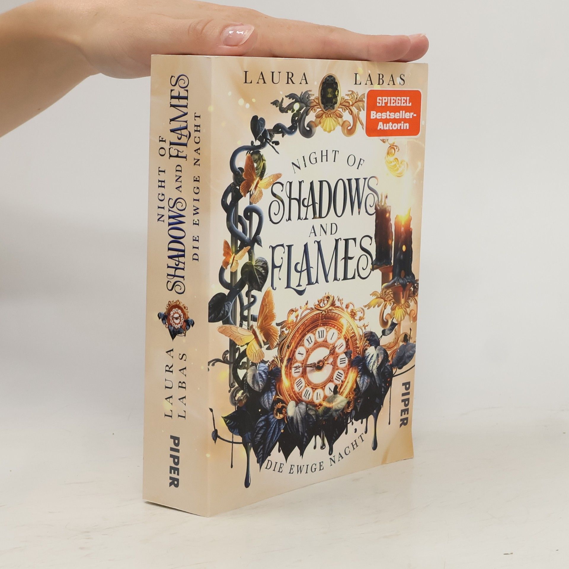 Laura Labas Die Ewige Nacht / Night of Shadows and Flames Bd.2