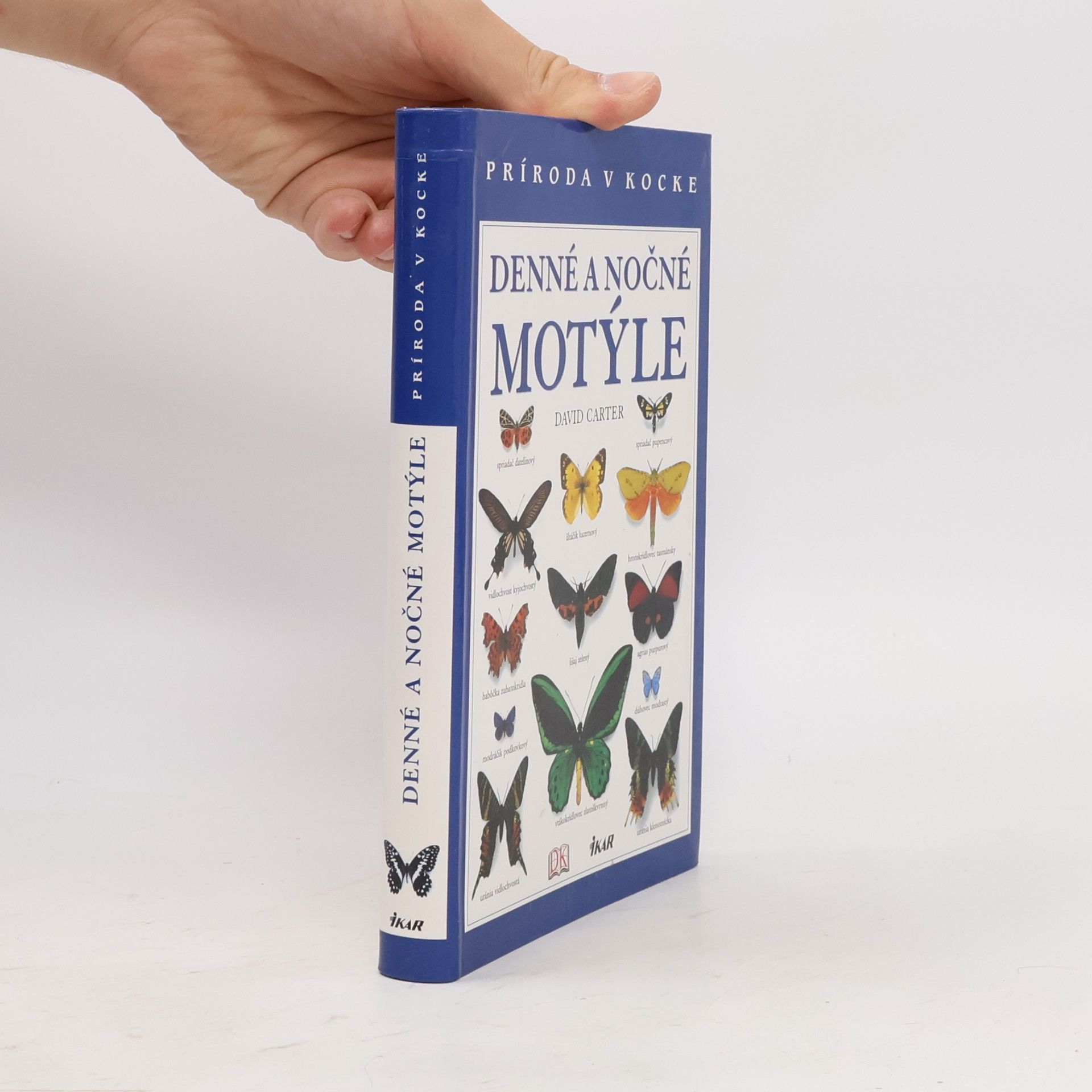 David Carter Denné a nočné motýle