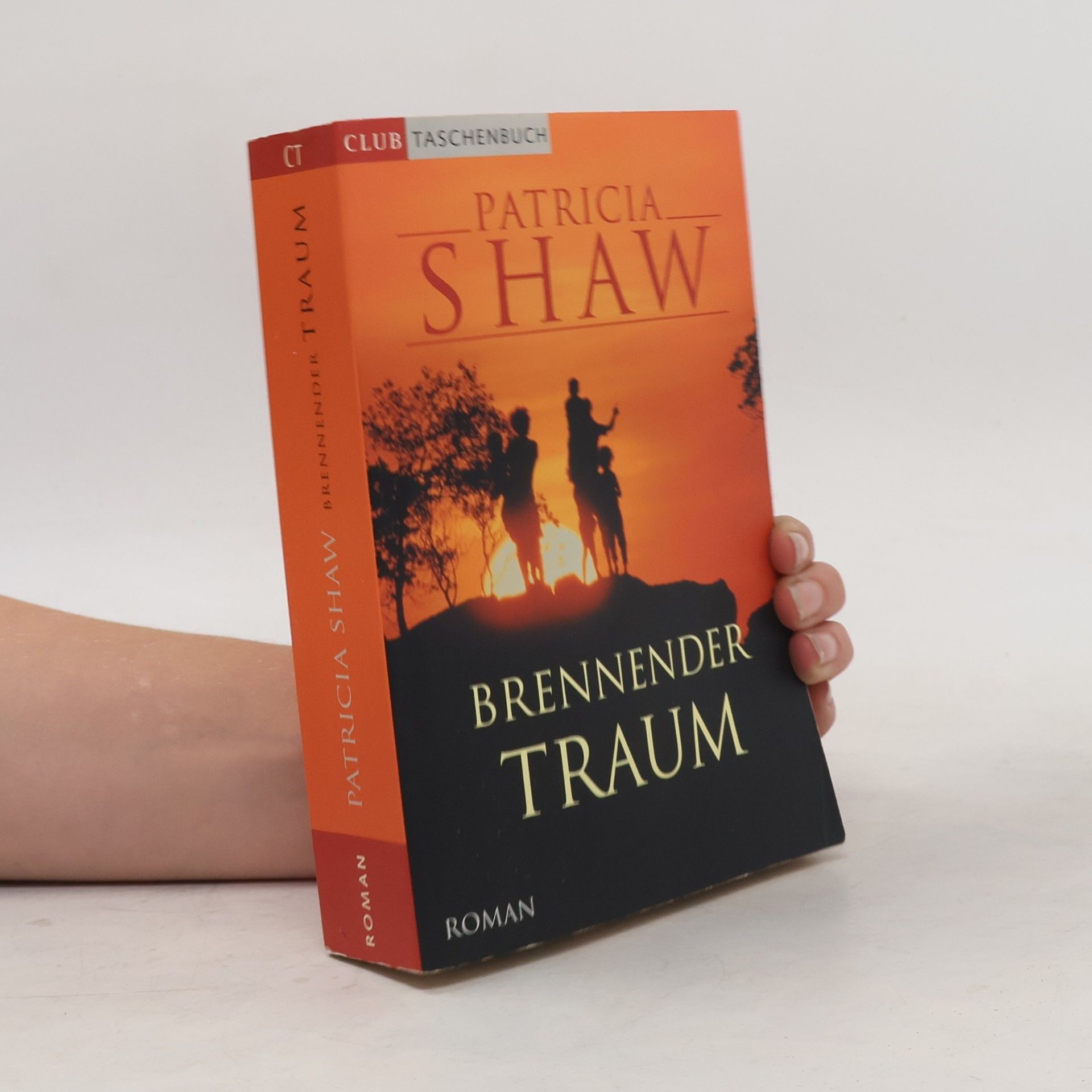Patricia Shaw Brennender Traum