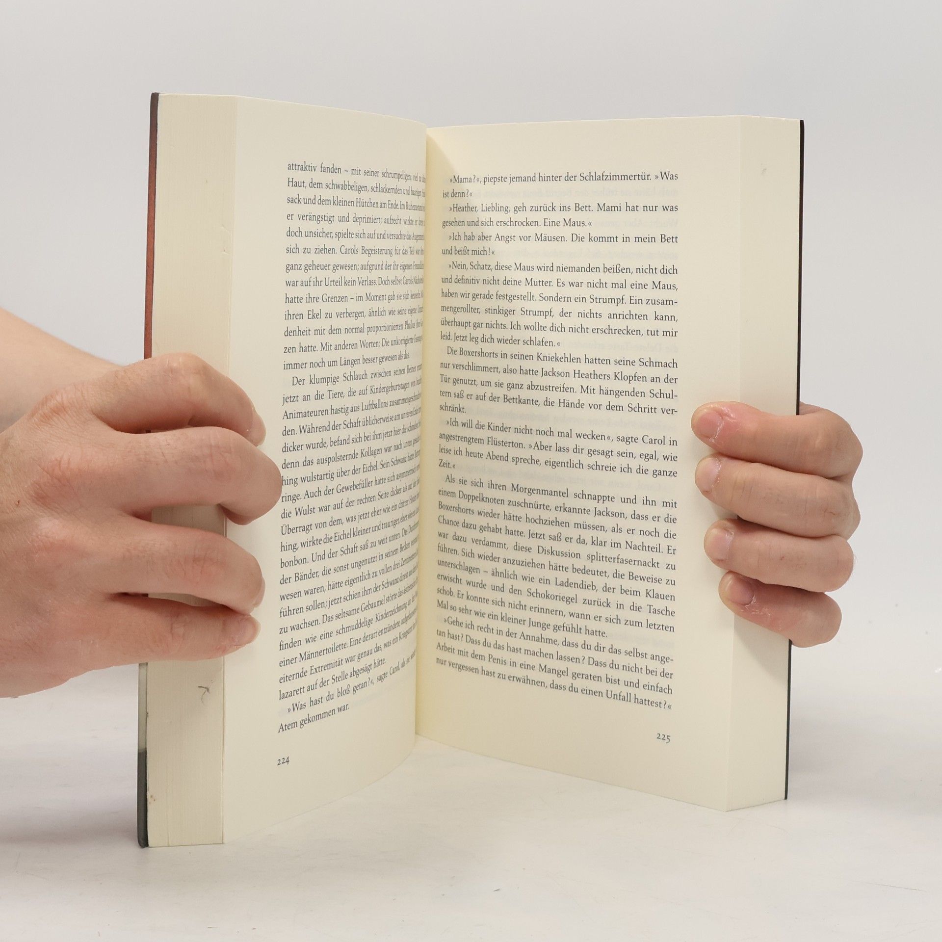 Lionel Shriver Dieses Leben, das wir haben