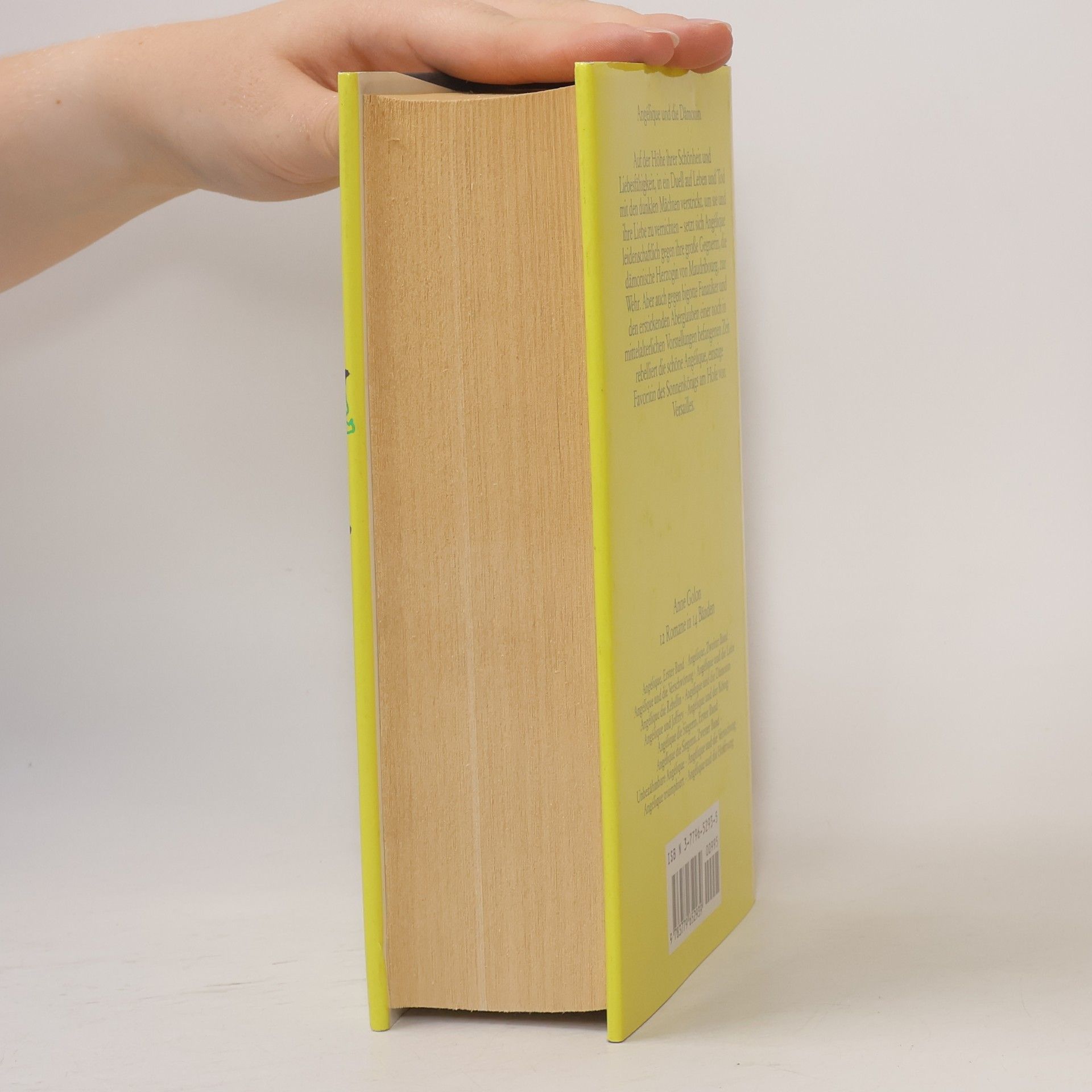 Anne Golon Angélique und die Dämonin