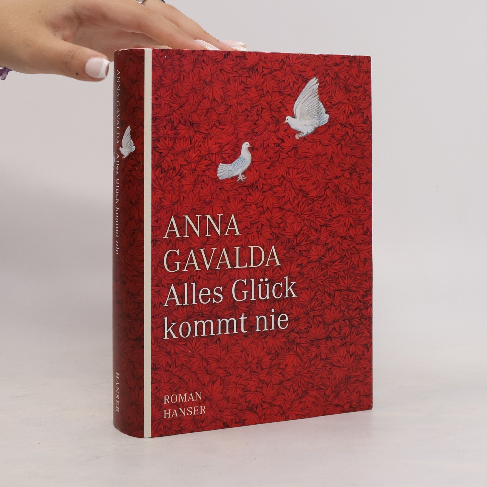 Anna Gavalda Alles Glück kommt nie