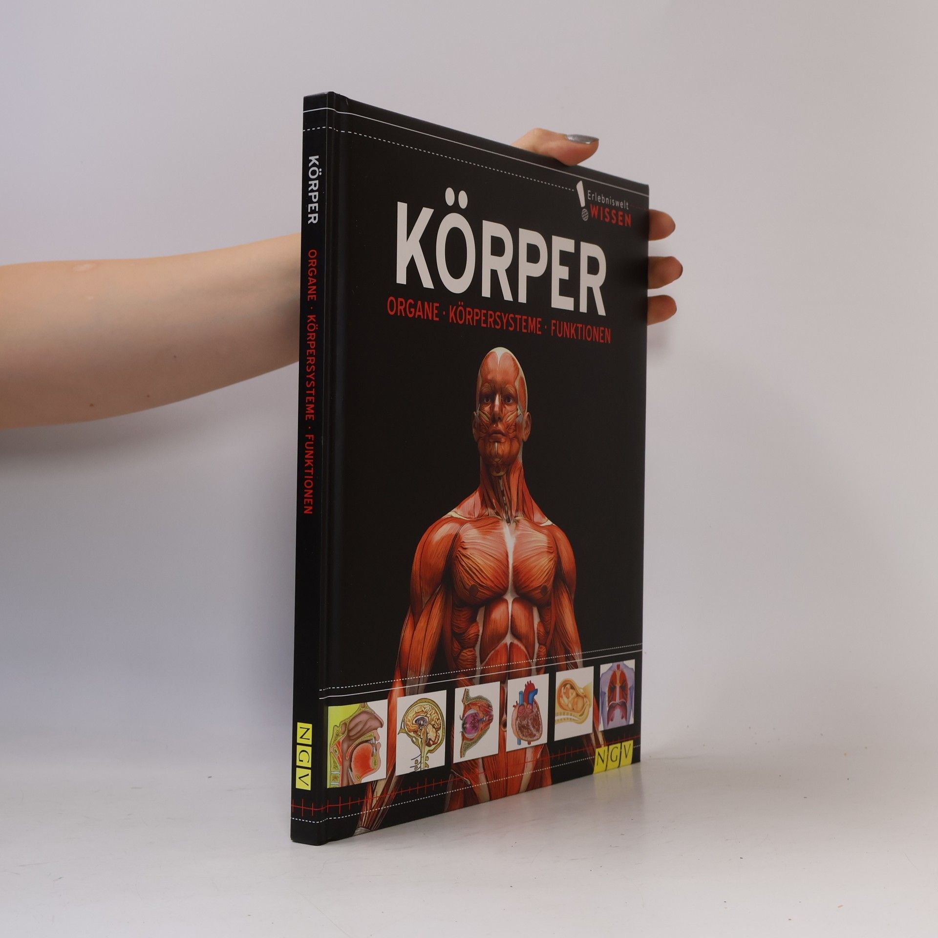 Various authors Körper