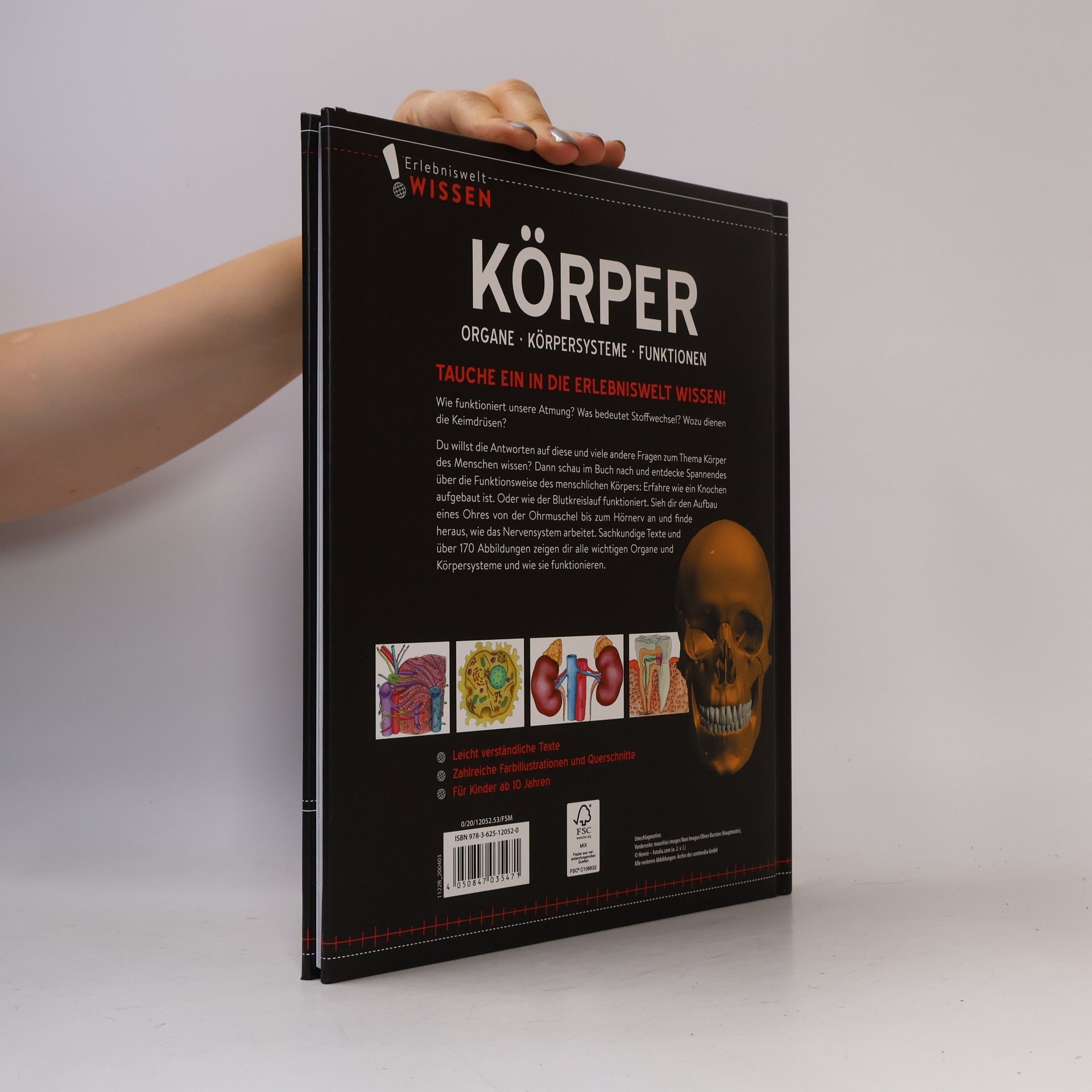 AA.VV. Körper