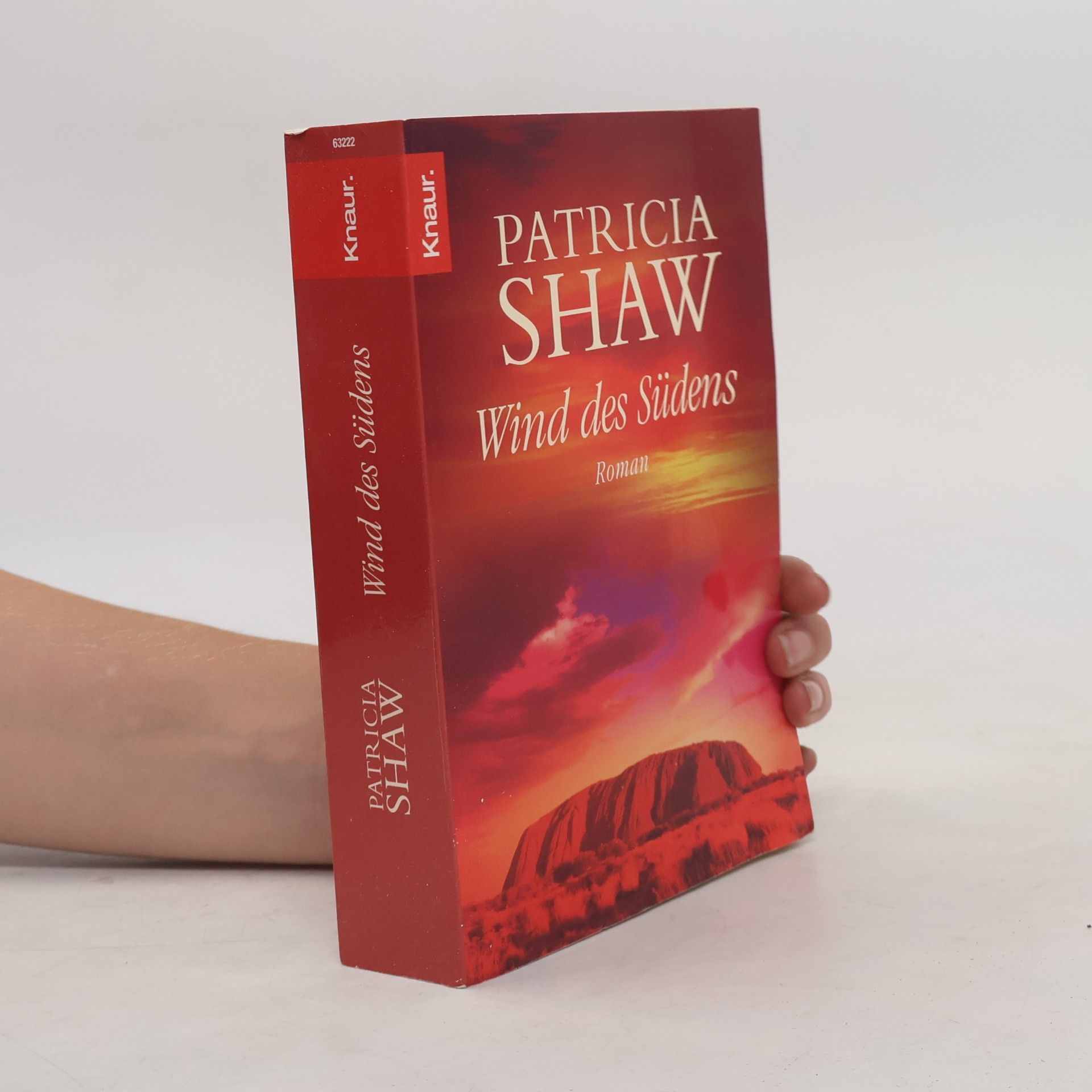 Patricia Shaw Wind des Südens