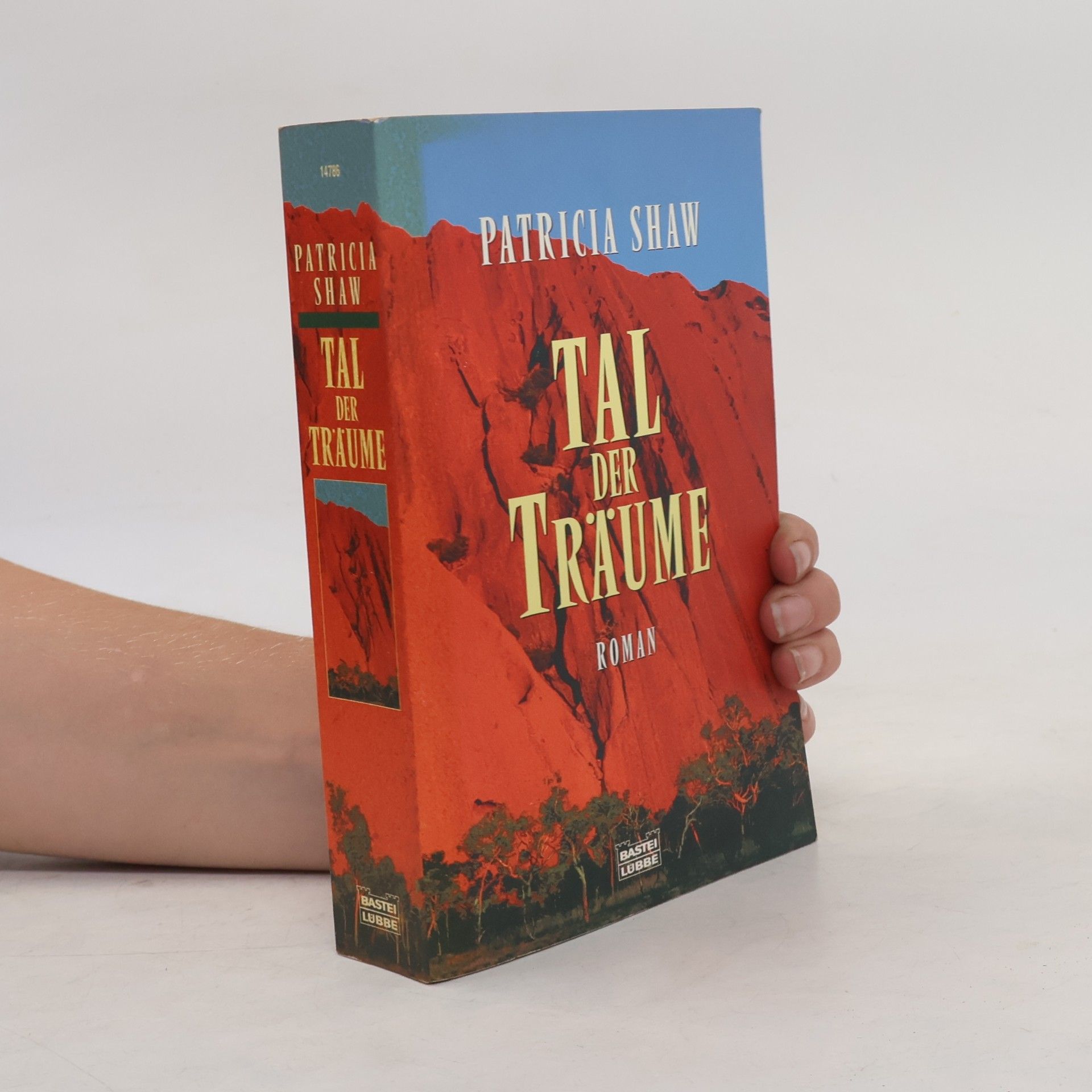 Patricia Shaw Tal der Träume