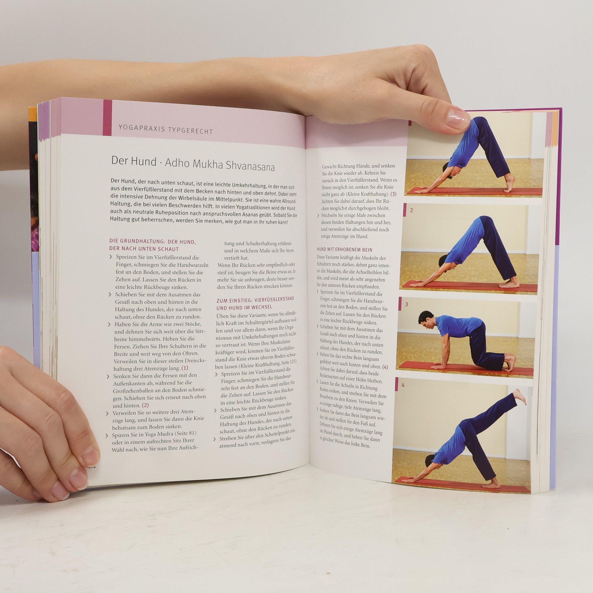 Anna Trökes Das Yoga-Gesundheitsbuch
