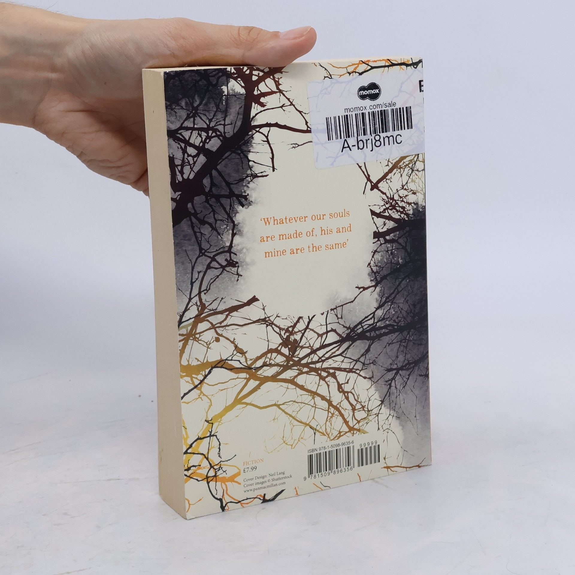 Emily Brontë Wuthering Heights