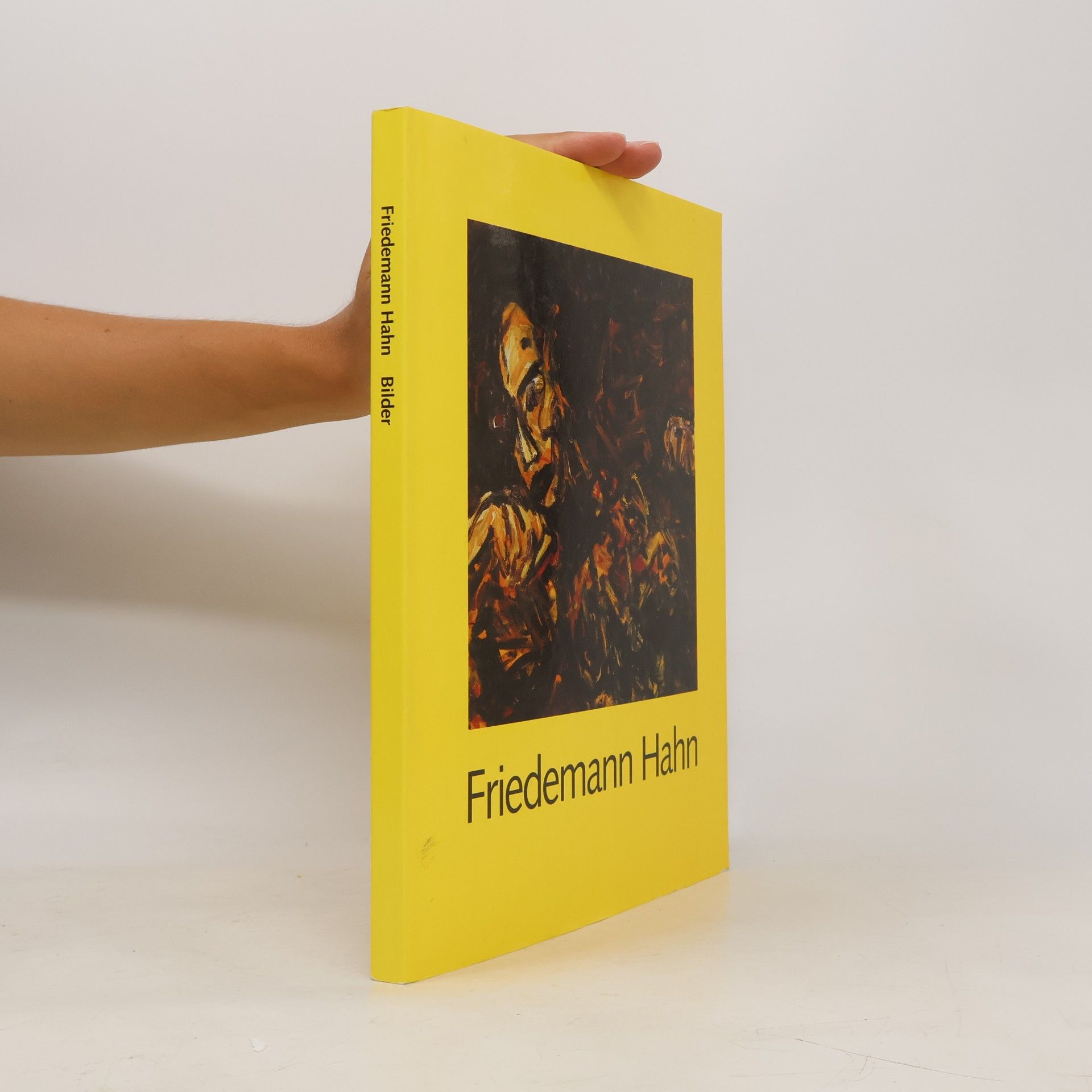 Werner Meyer Friedemann Hahn, Bilder