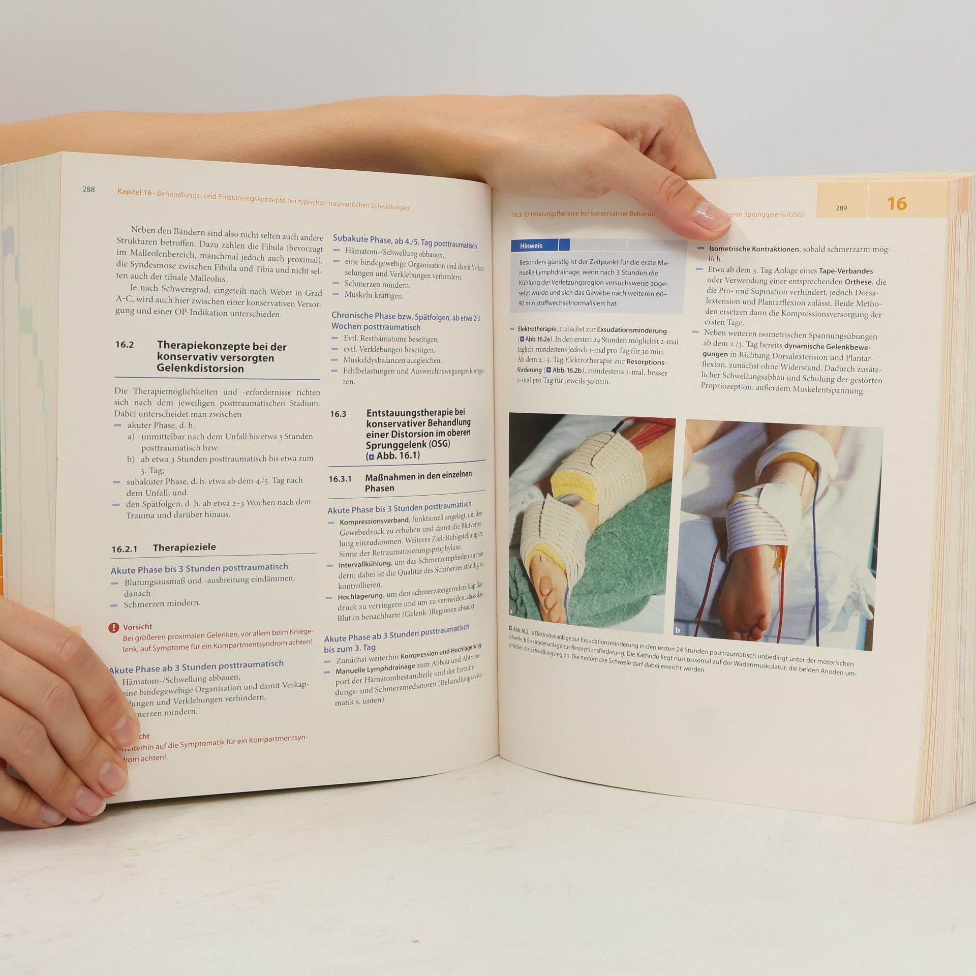 Günther Bringezu Lehrbuch der Entstauungstherapie
