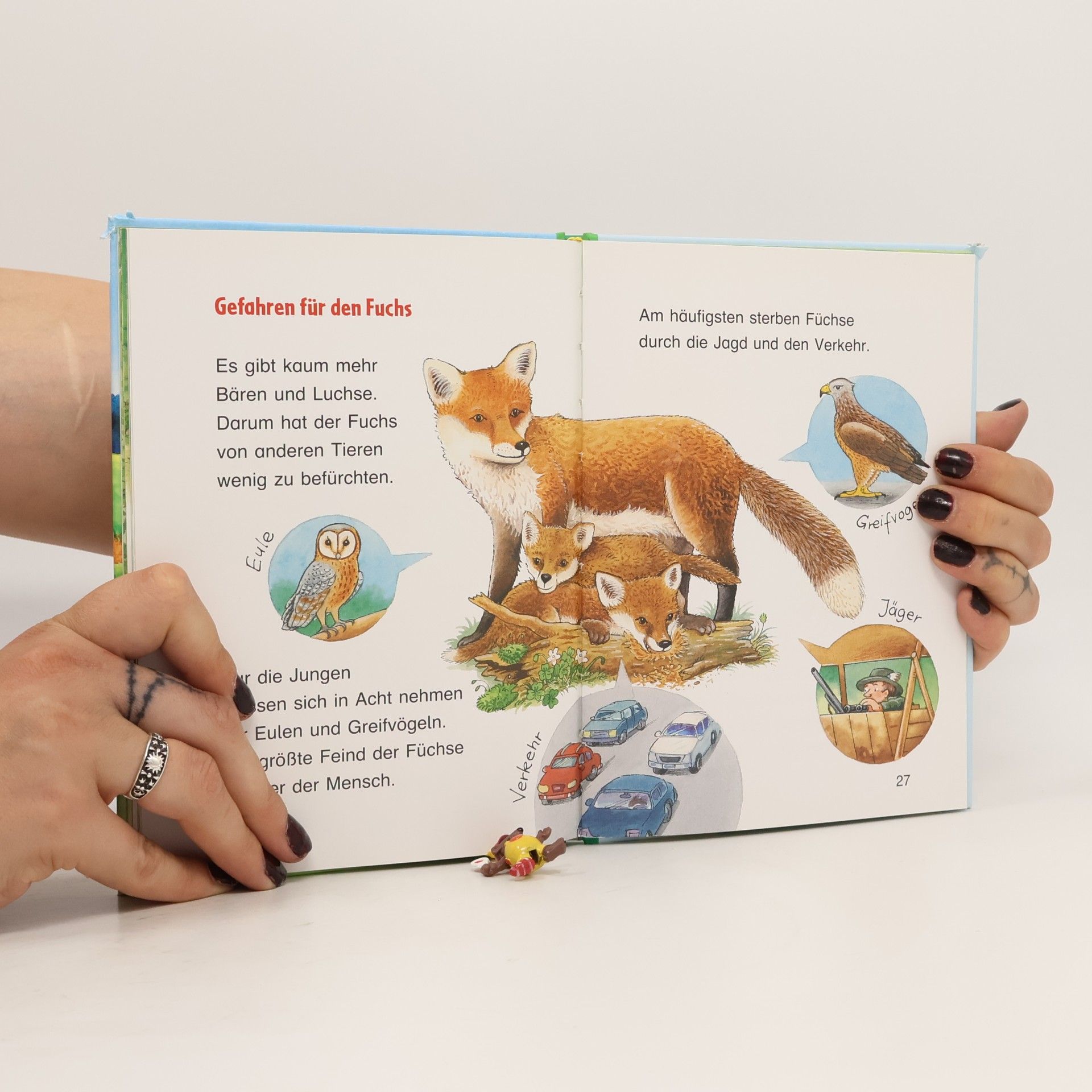 Friederun Reichenstetter So leben die Tiere - der Fuchs