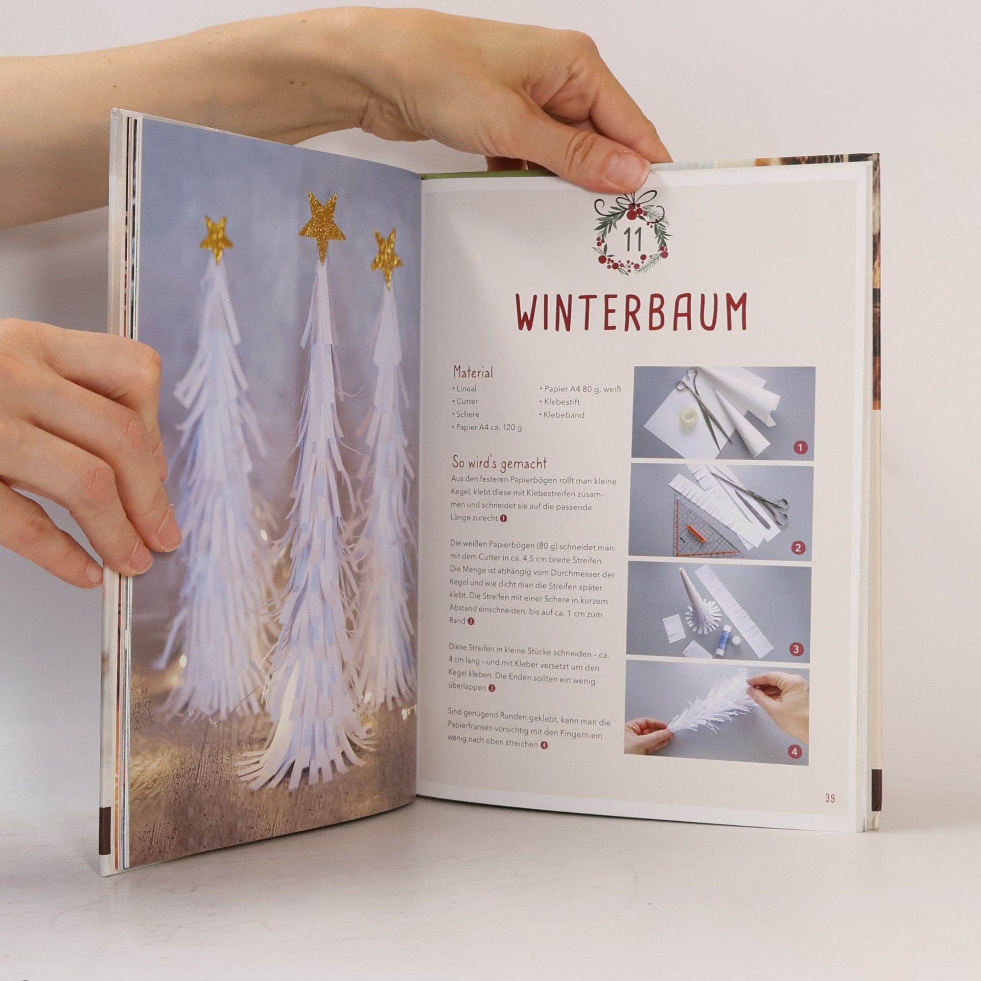 Claudia Vosbrink Mein kreativer Adventskalender