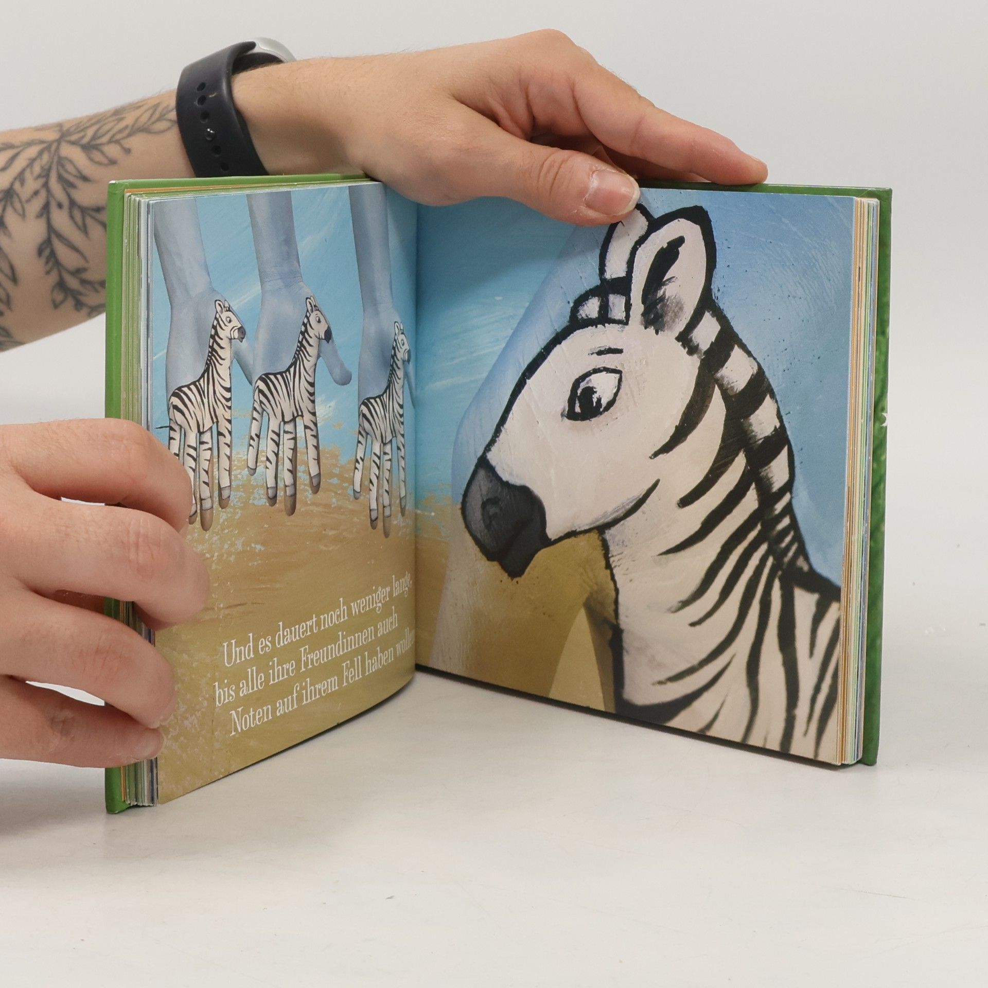 Lucie Albon Ein Elefant auf meiner Hand