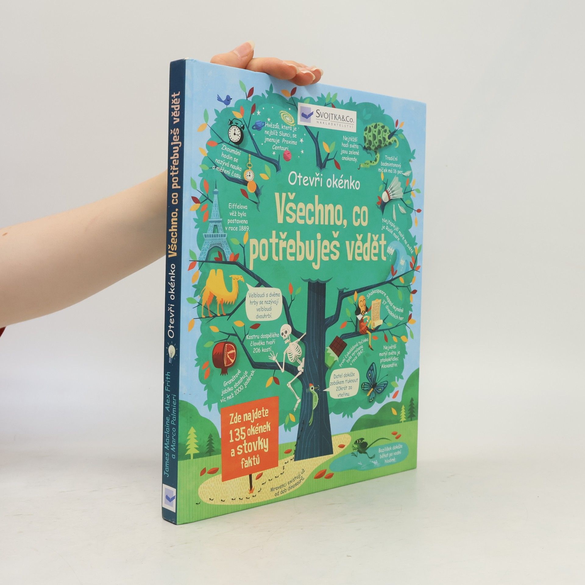 Hannah Ahmed Všechno, co potřebuješ vědět