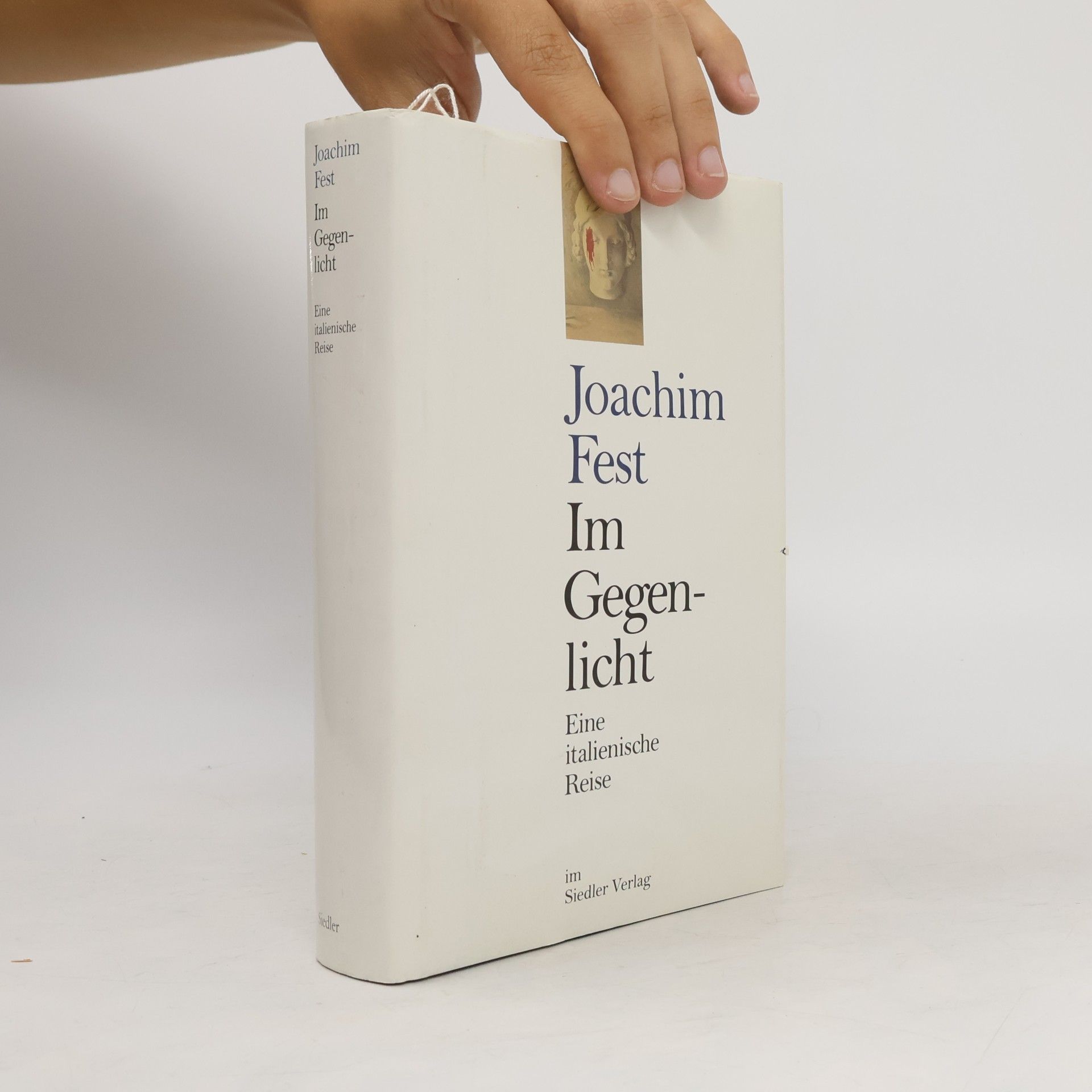 Im Gegenlicht