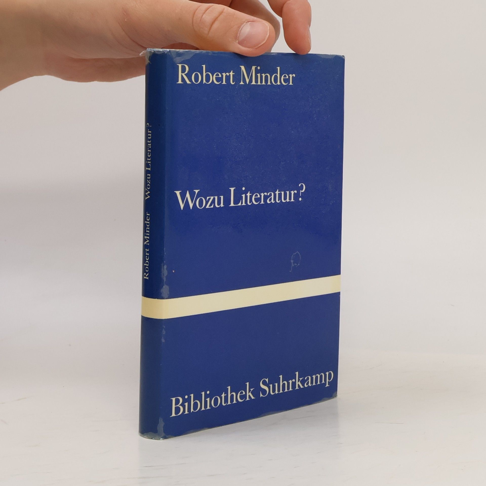 Wozu Literatur?