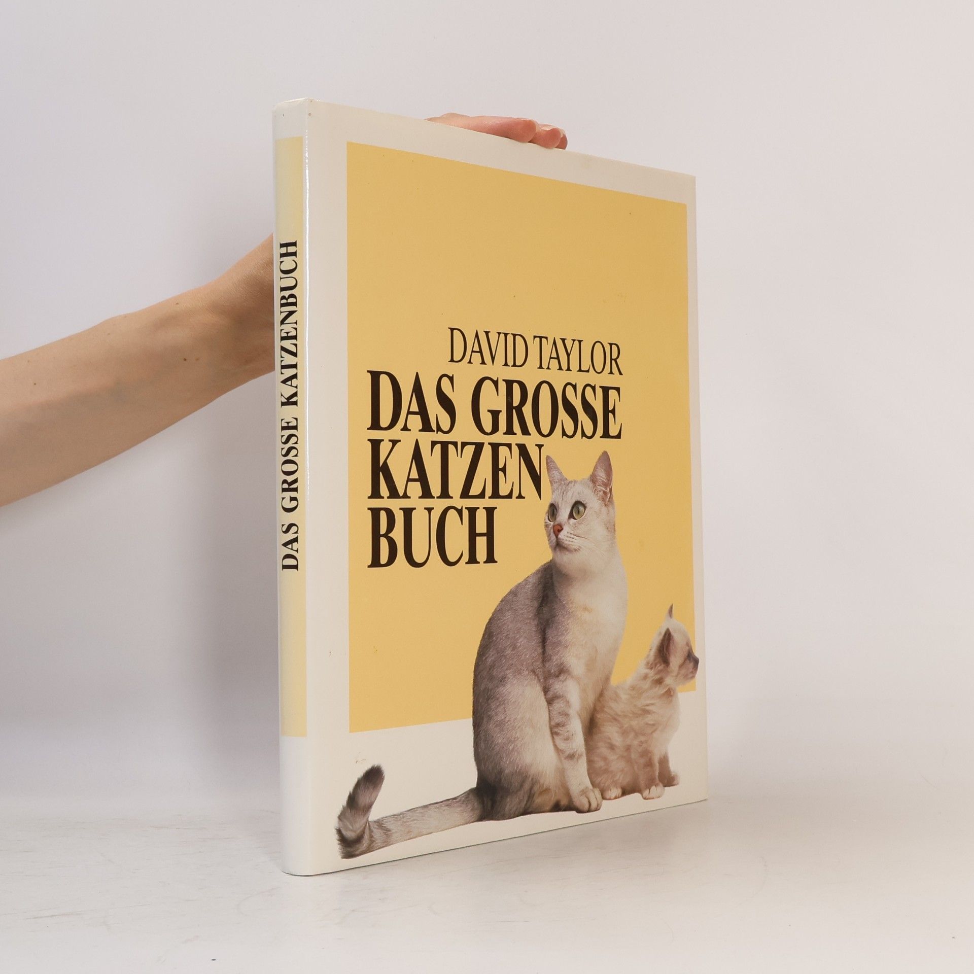 David Conrad Taylor Das Grosse Katzenbuch