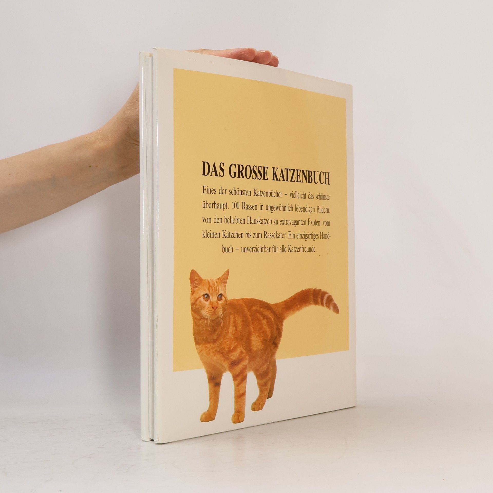 David Conrad Taylor Das Grosse Katzenbuch