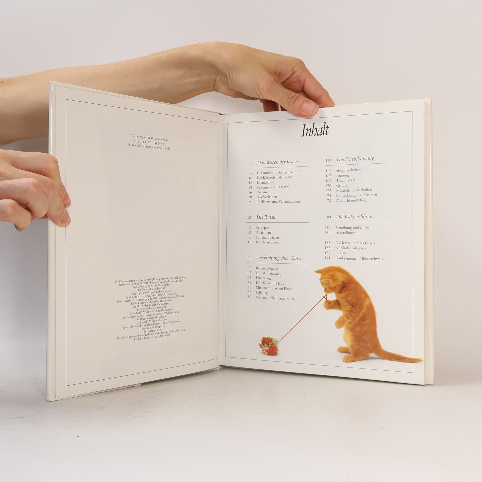 David Conrad Taylor Das Grosse Katzenbuch