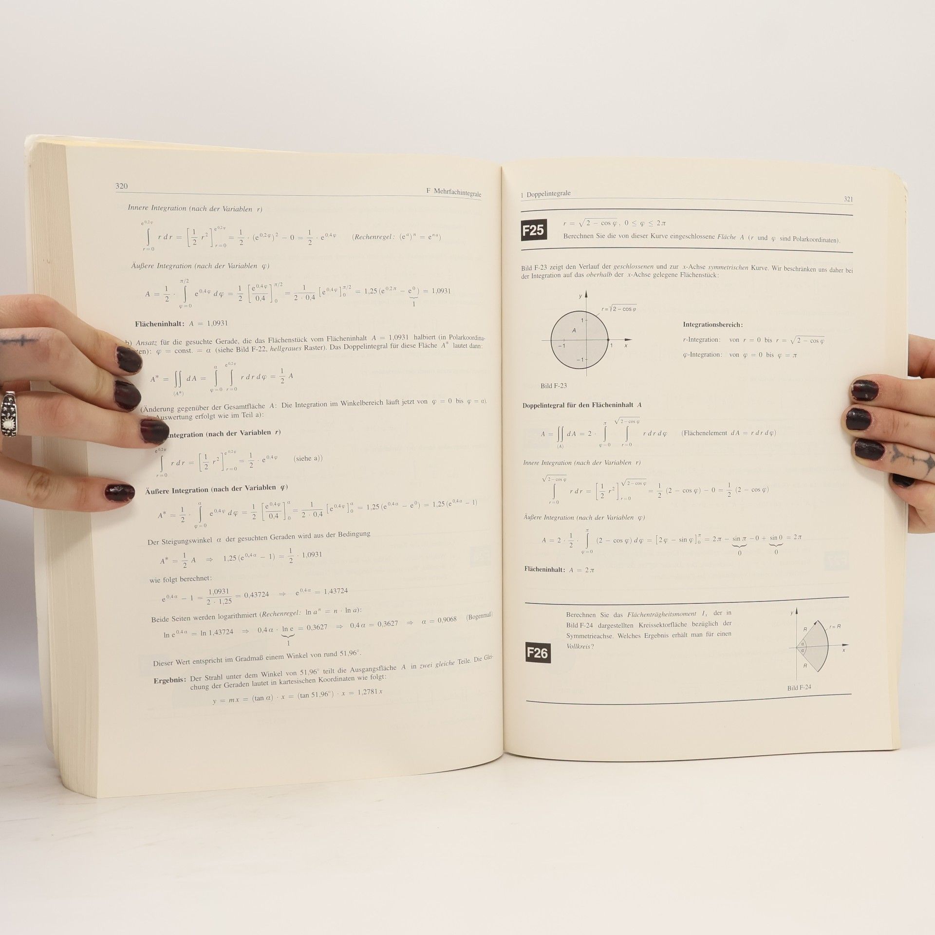 Lothar Papula Mathematik für Ingenieure und Naturwissenschaftler - Klausur- und Übungsaufgaben
