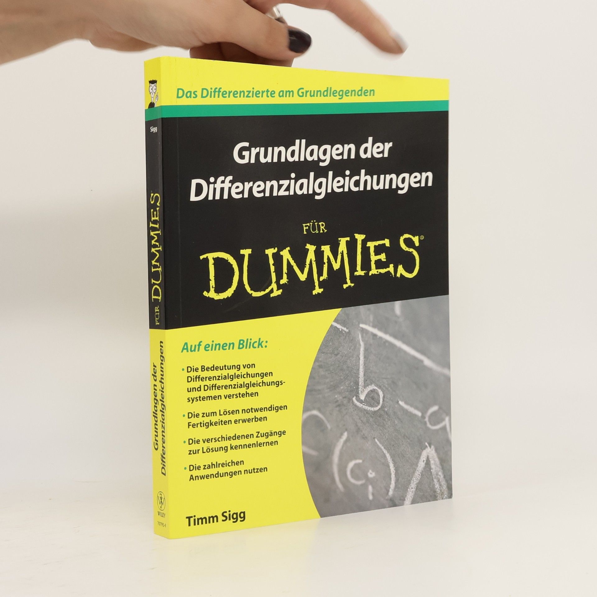Timm Sigg Grundlagen der Differenzialgleichungen für Dummies