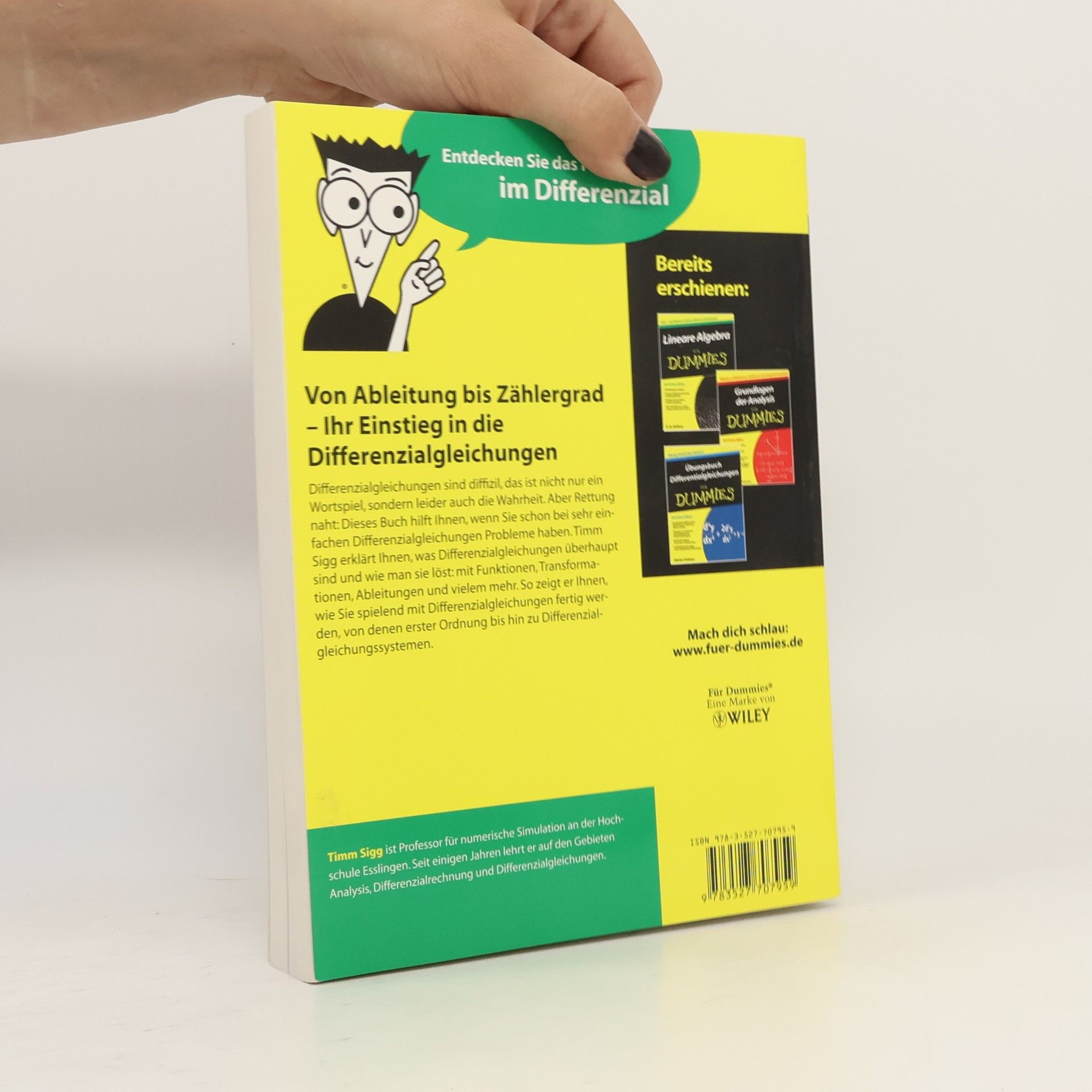 Timm Sigg Grundlagen der Differenzialgleichungen für Dummies
