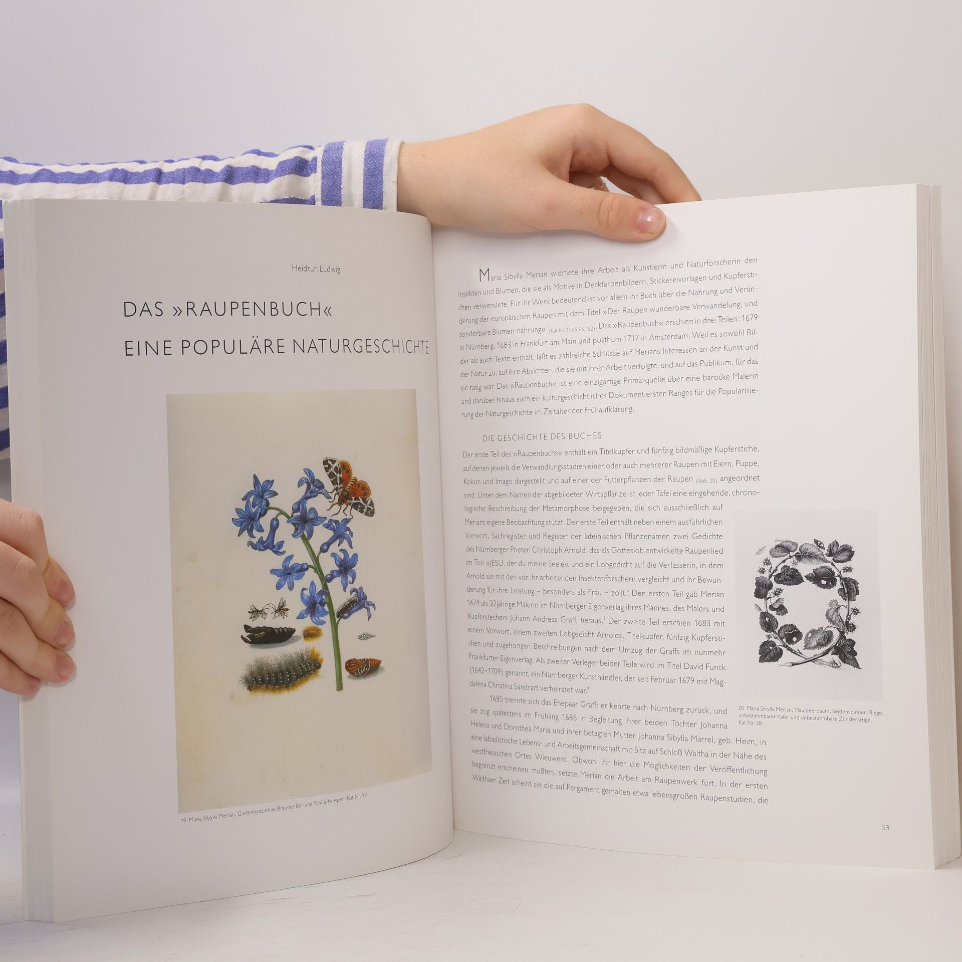 Maria Sibylla Merian Maria Sibylla Merian 1647-1717. Künsterlin und Naturforscherin