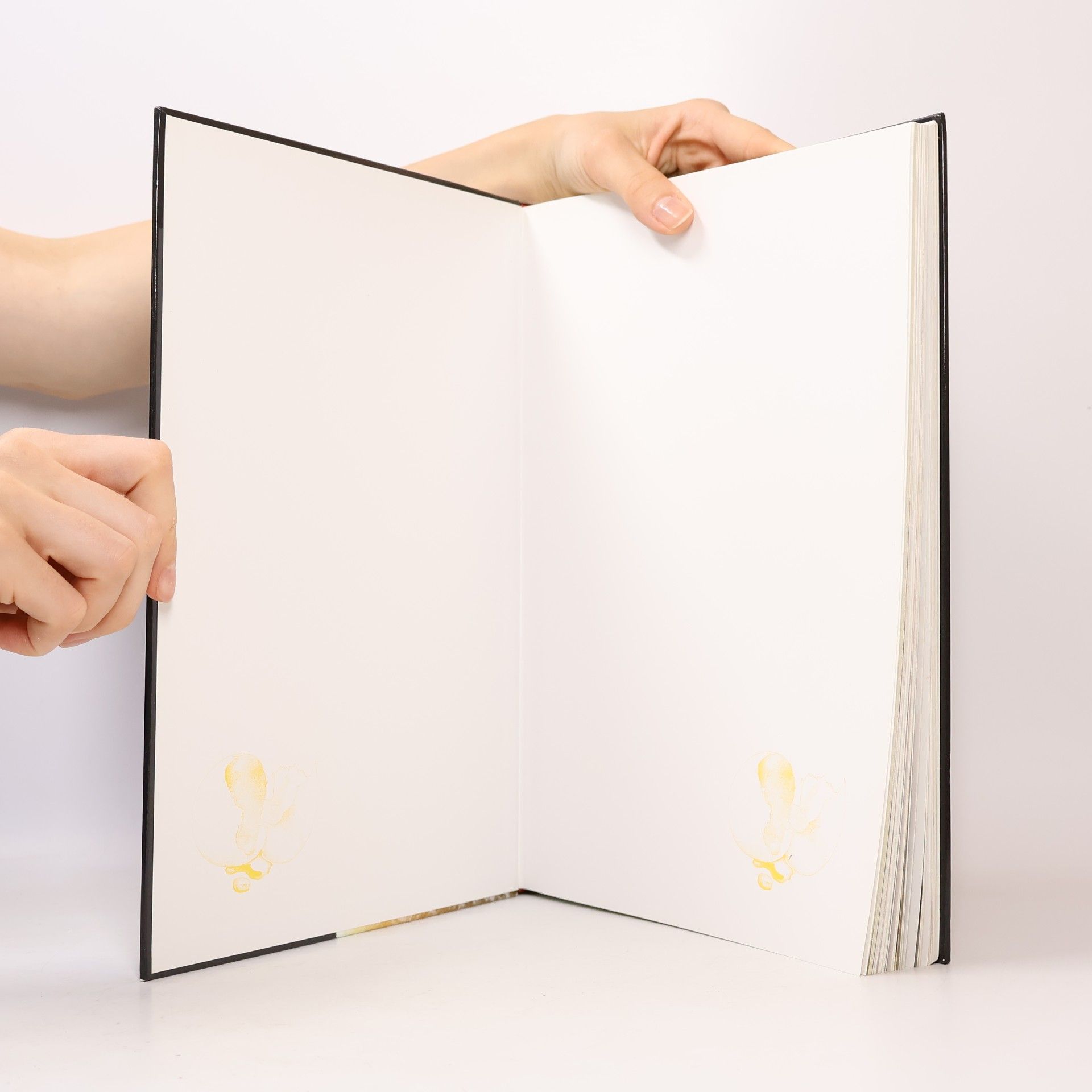 Christian Teubner Das grosse Buch der Kuchen und Torten