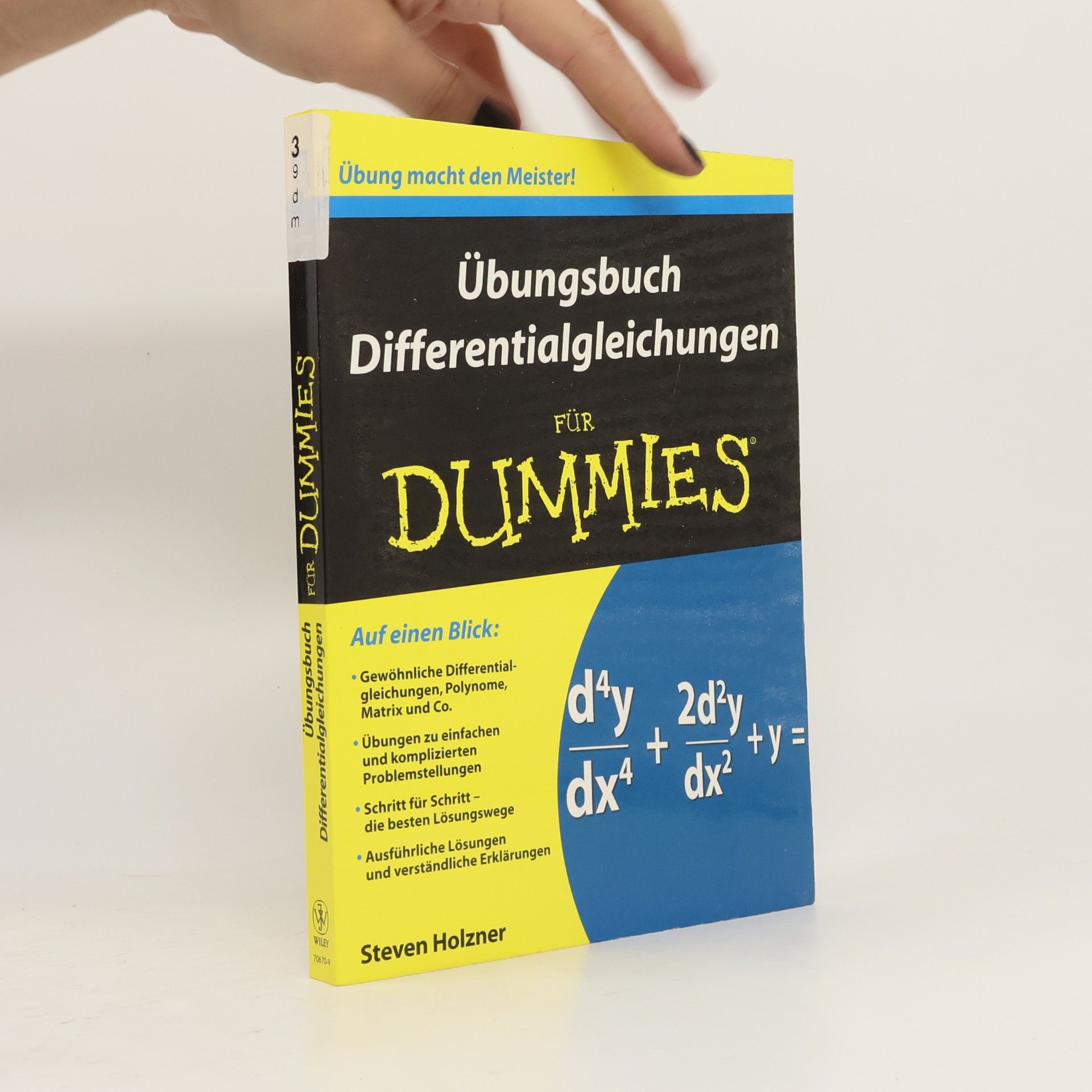 Übungsbuch Differentialgleichungen für Dummies