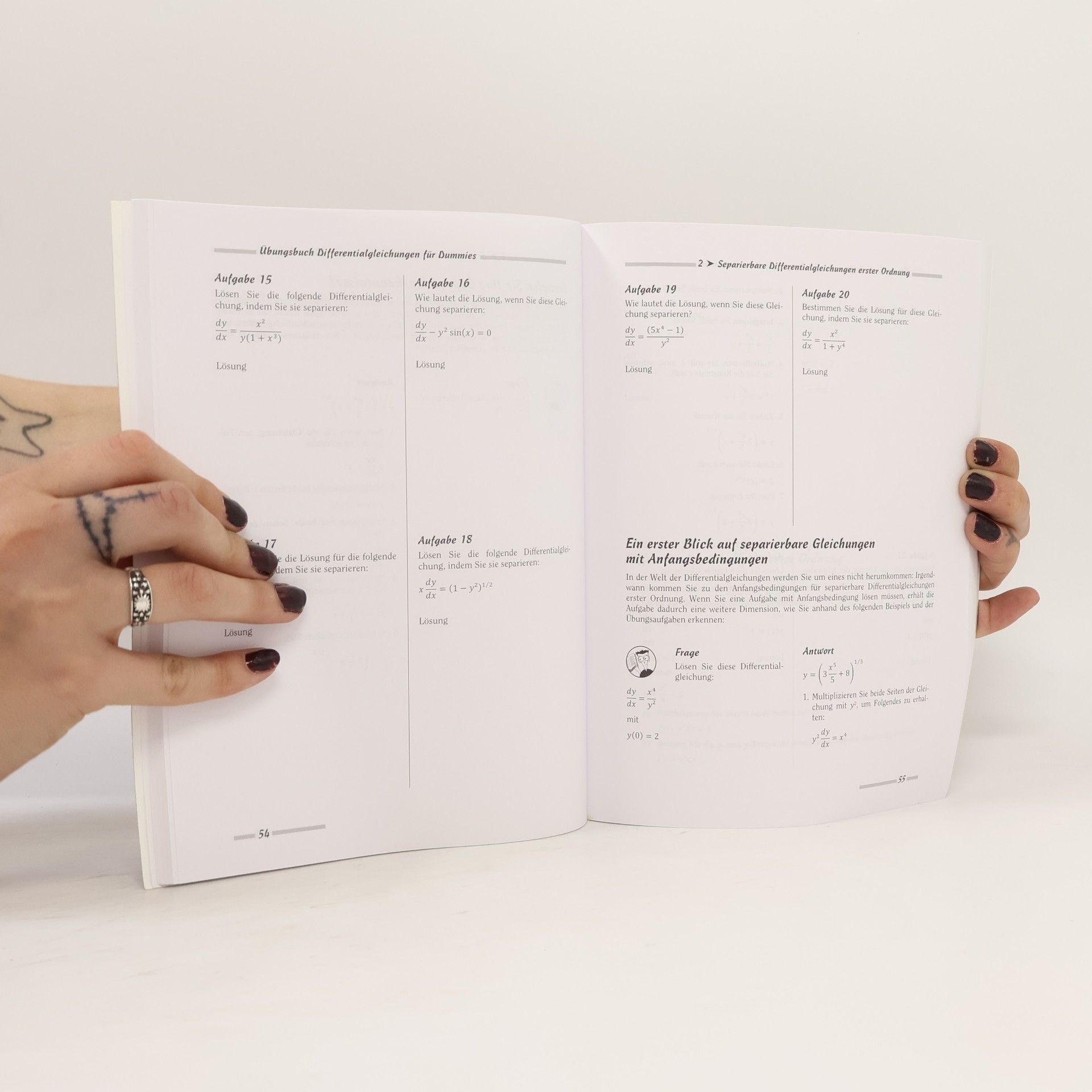 Steven Holzner Übungsbuch Differentialgleichungen für Dummies