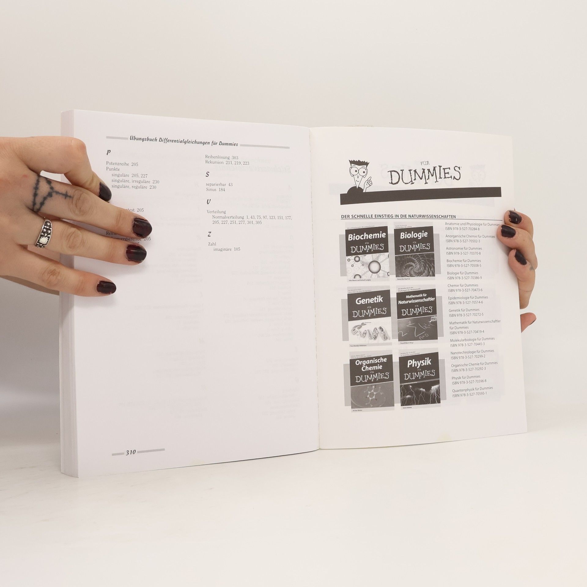 Steven Holzner Übungsbuch Differentialgleichungen für Dummies