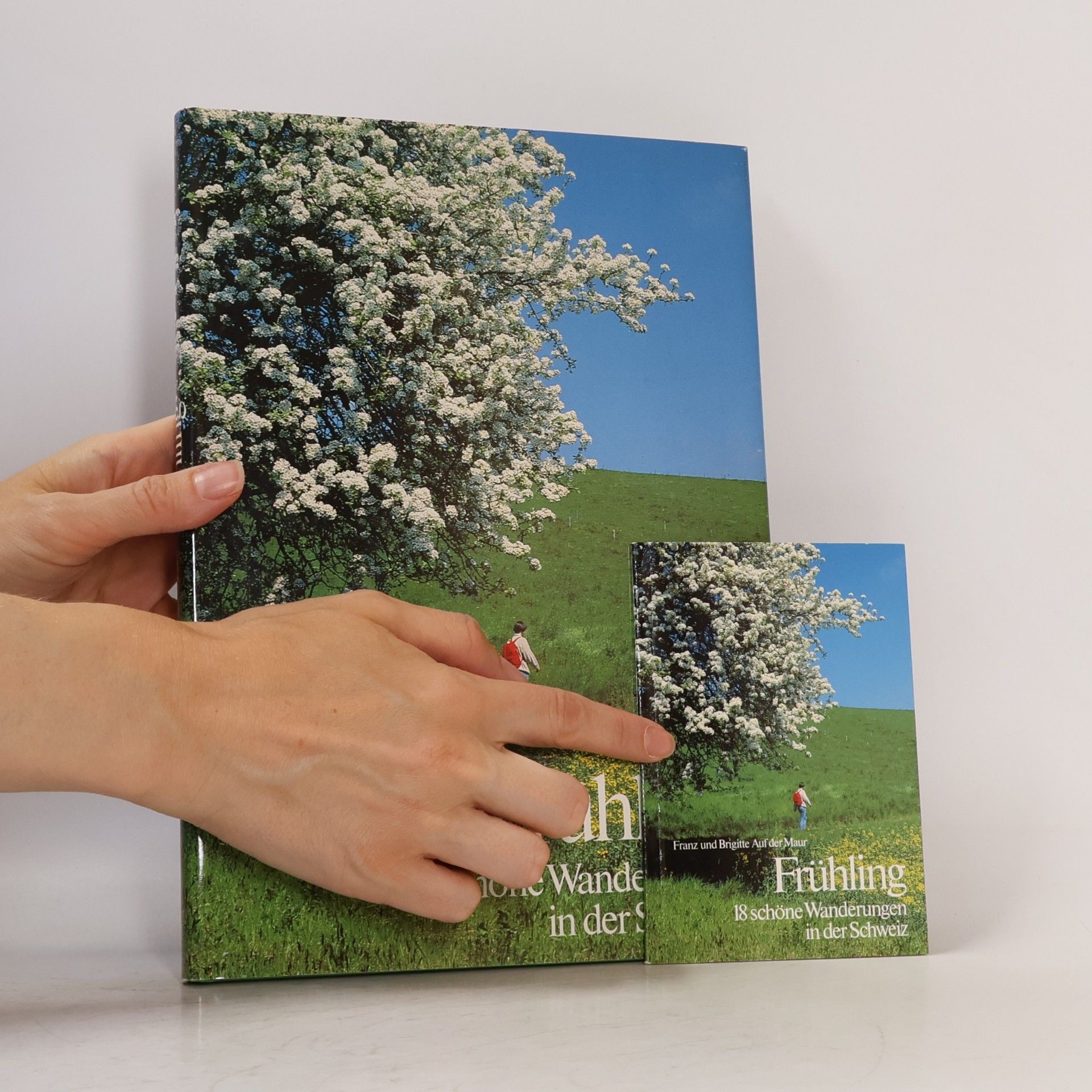 Franz Maur Frühling. 18 schöne Wanderungen in der Schweiz