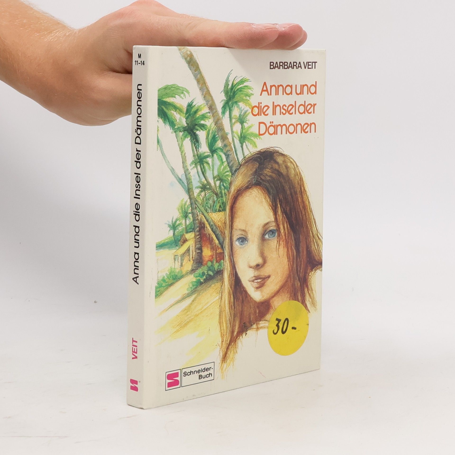 Barbara Veit Anna und die Insel der Dämonen