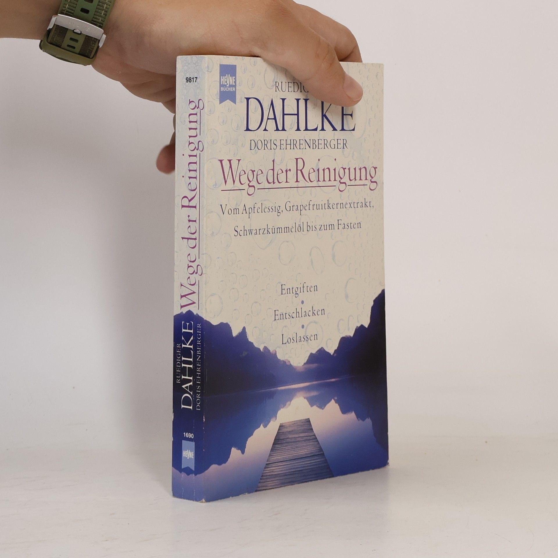 Ruediger Dahlke Wege der Reinigung